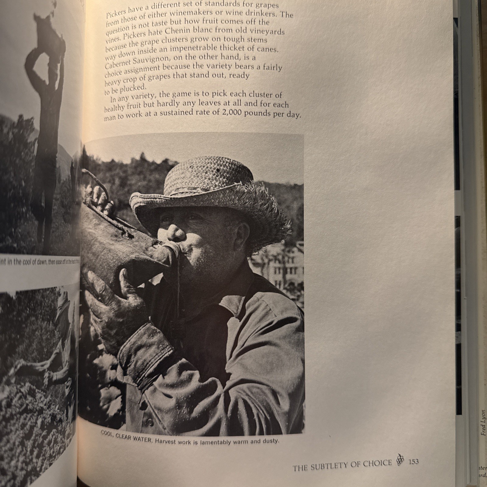 California Wine – A Sunset Pictorial Book, 1973 – 1st Edition Wine History