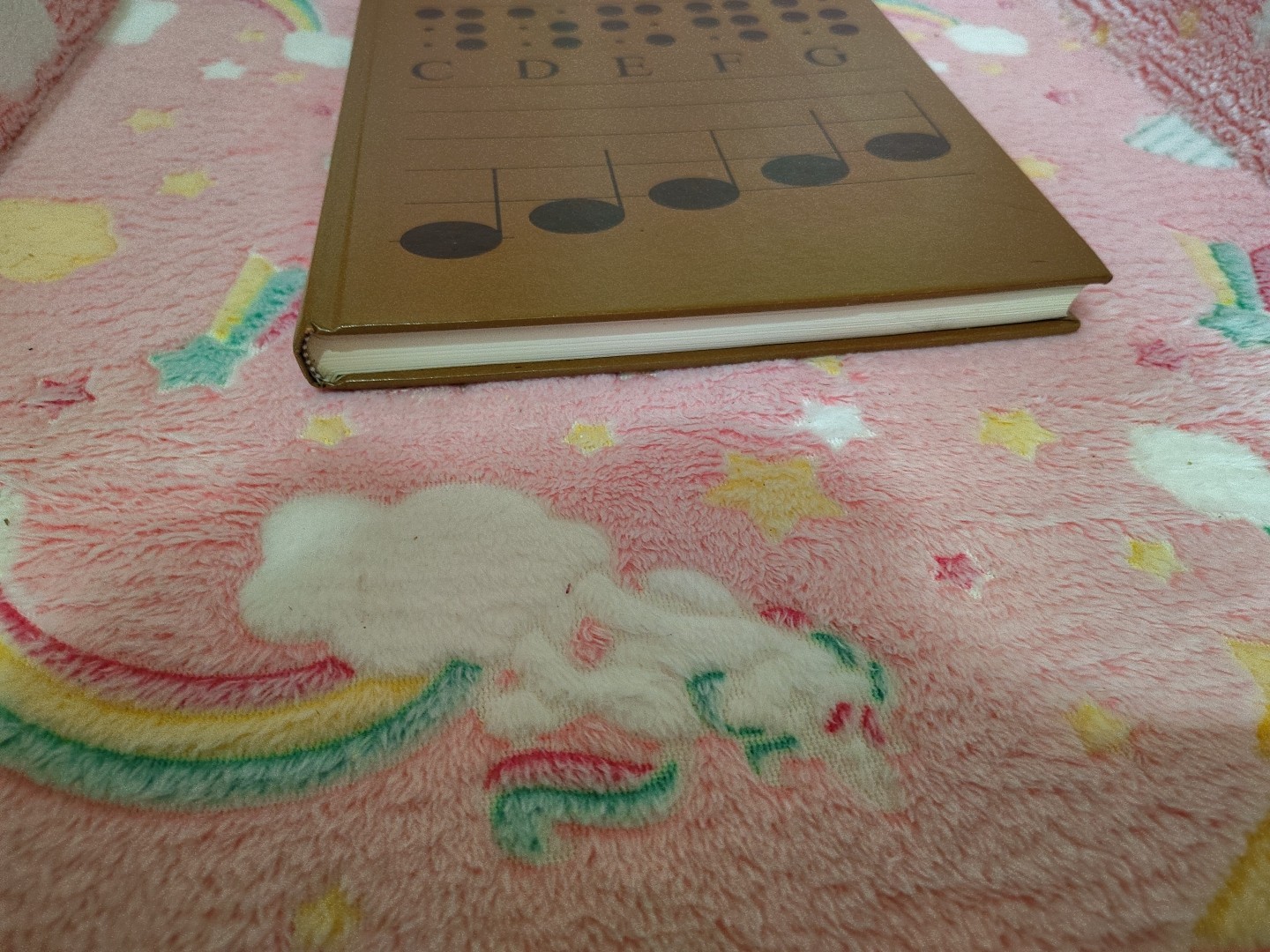 Dictionary of Braille Music Signs Hardcover Bettye Krolick
