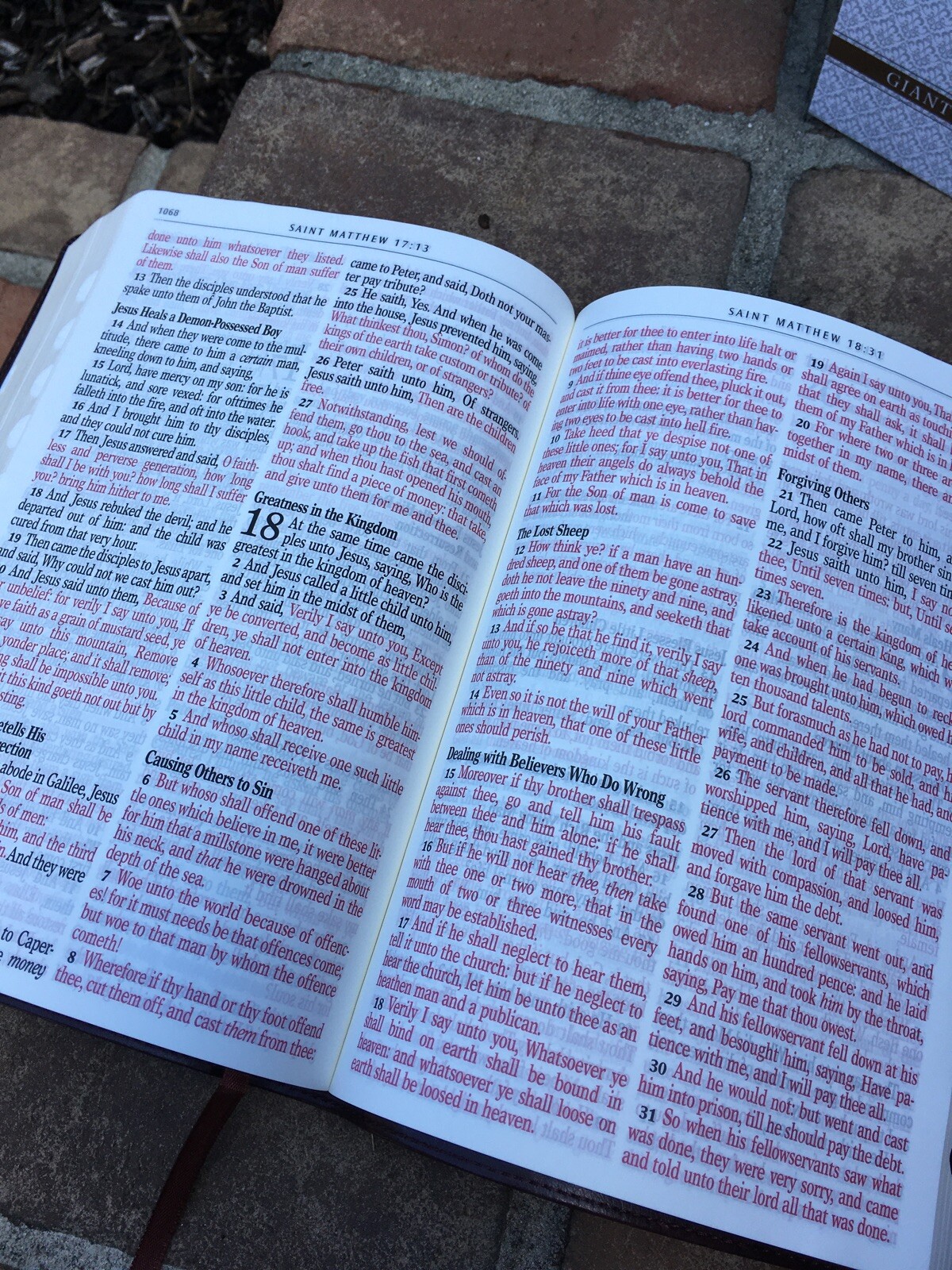 KJV Giant/Large Print Bible Red Letter ~ Beautiful ribbed cover ~thumb-indexed