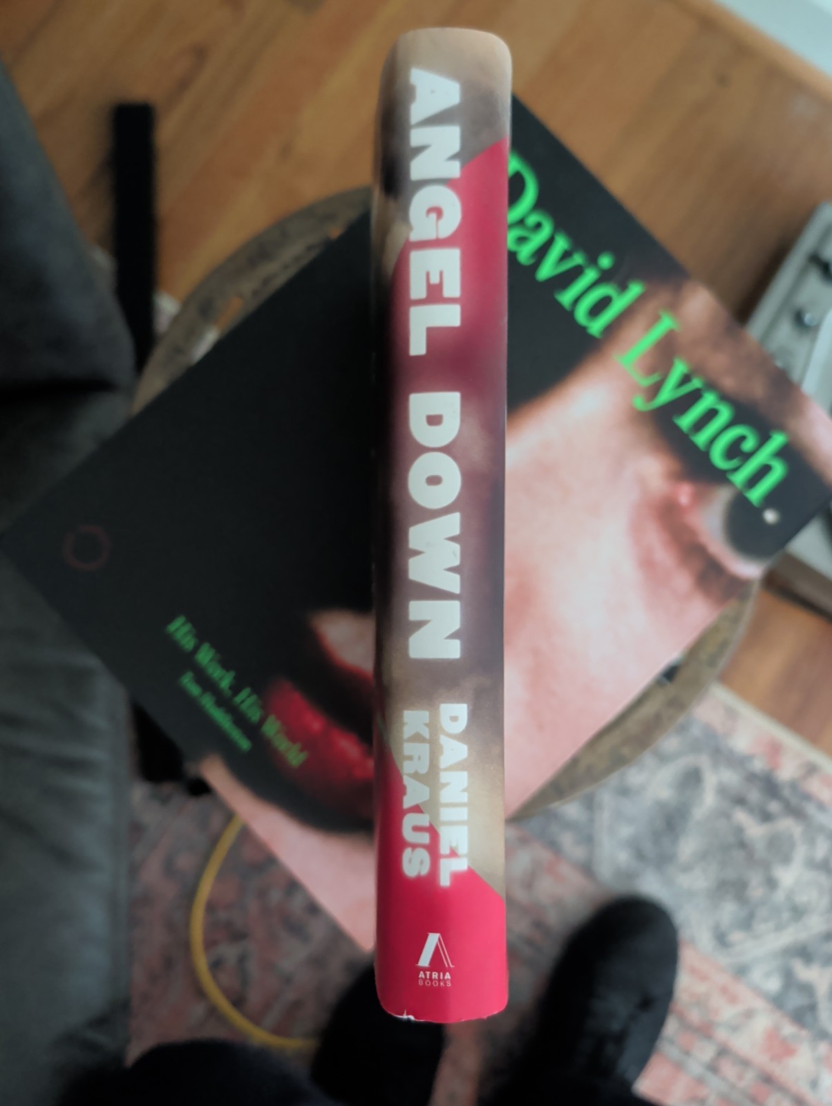 Angel Down: A Novel by Daniel Kraus First Edition / 1st Printing