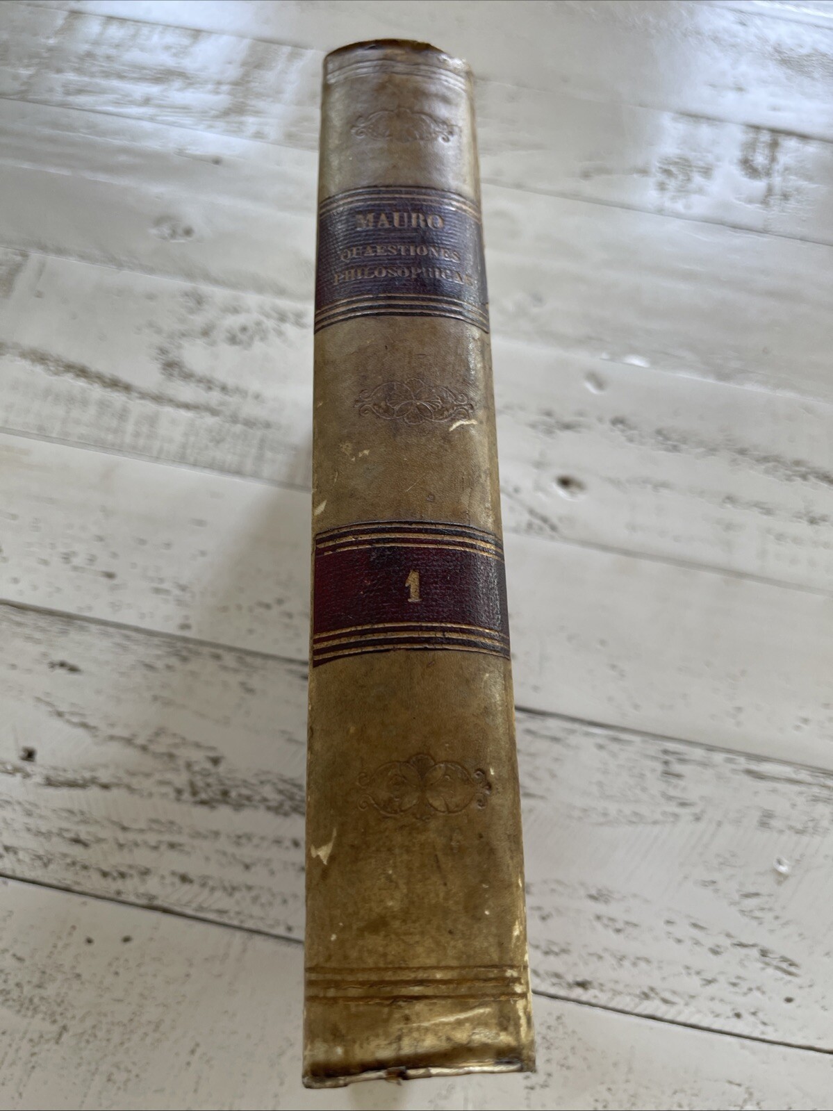 Quaestiones Philosophicae Vol. 1 by Sylvestro Mauro, 1875 Catholic Work