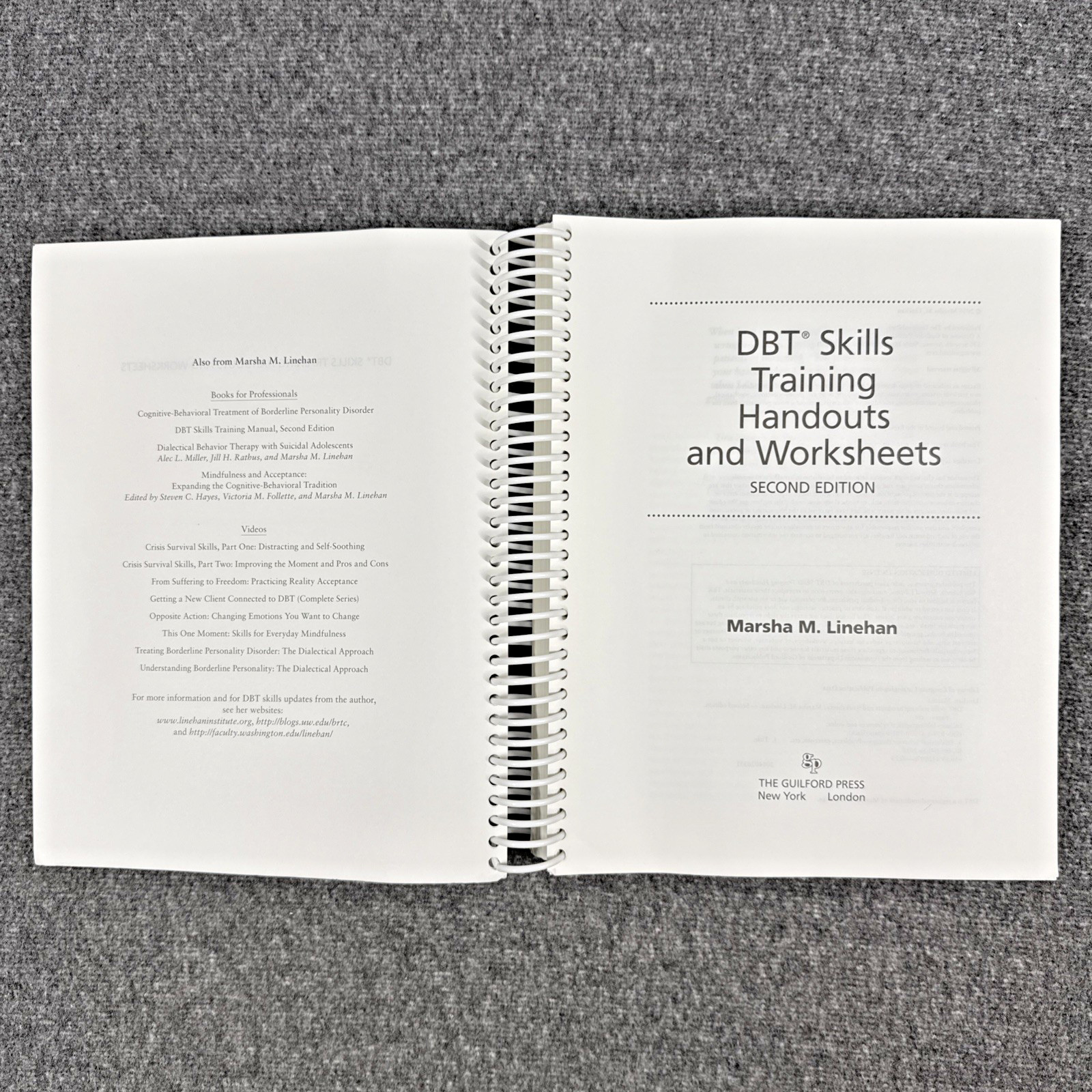 DBT Skills Training Handouts and Worksheets by Marsha M. Linehan, Like New