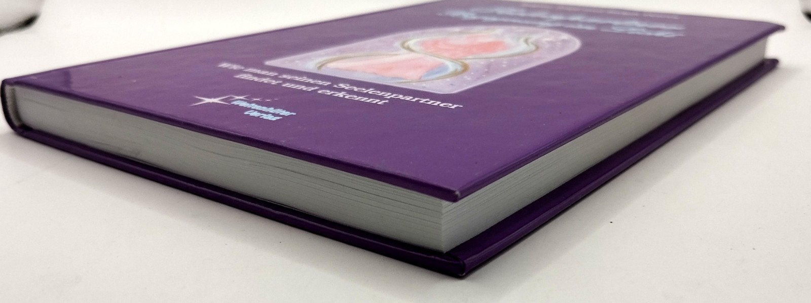Seelenpartner – Begegnung im Licht. Wie man seinen … | Buch | Zustand sehr gut