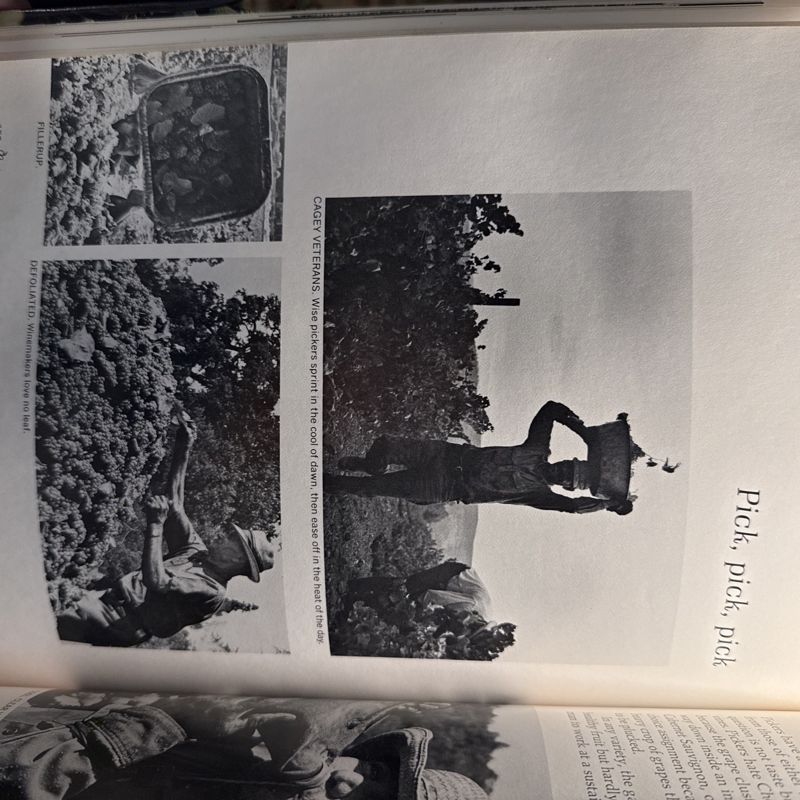 California Wine – A Sunset Pictorial Book, 1973 – 1st Edition Wine History