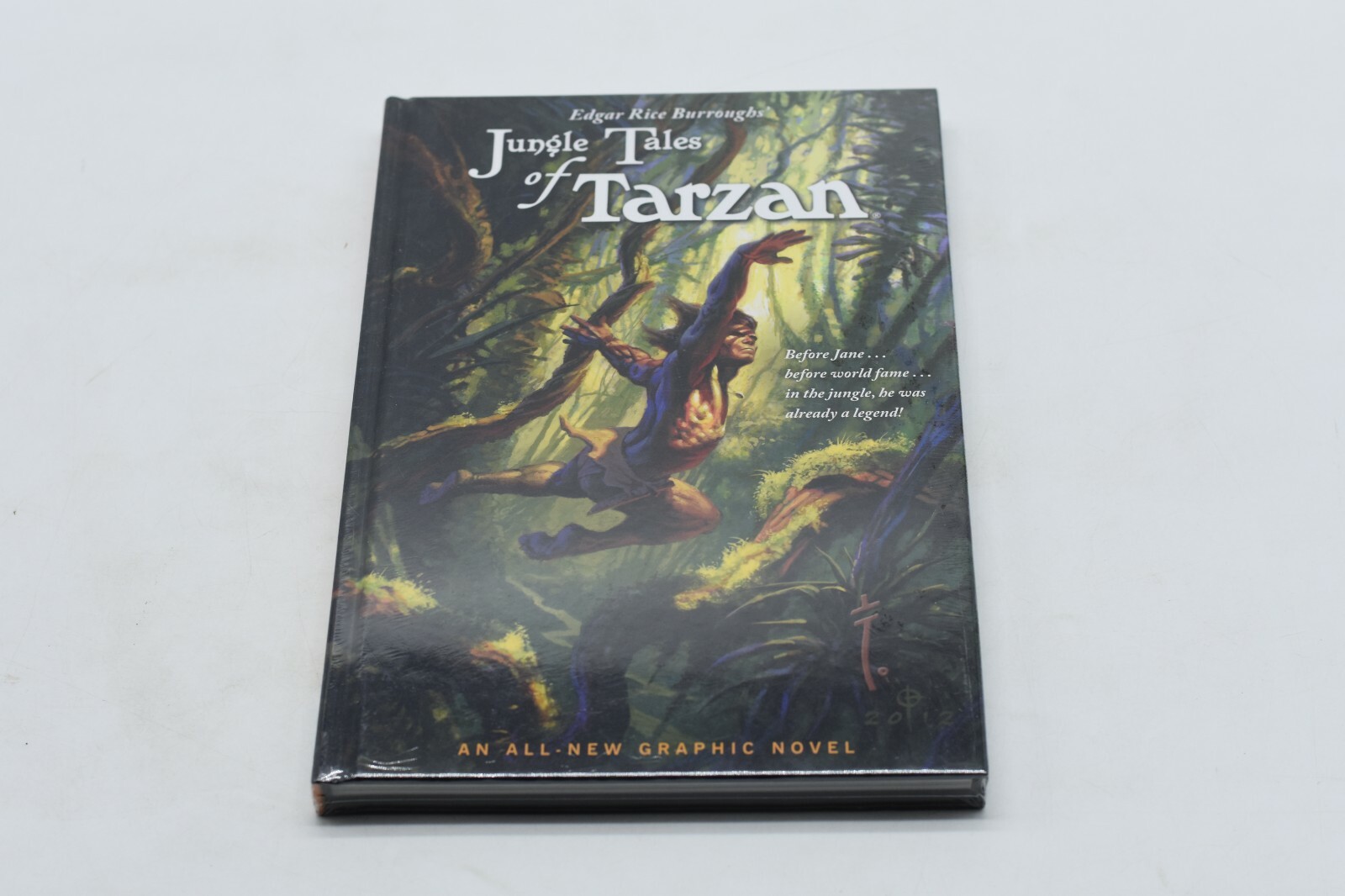 Edgar Rice Burroughs’ Jungle Tales of Tarzan by Martin Powell (2015, Hardcover)Y