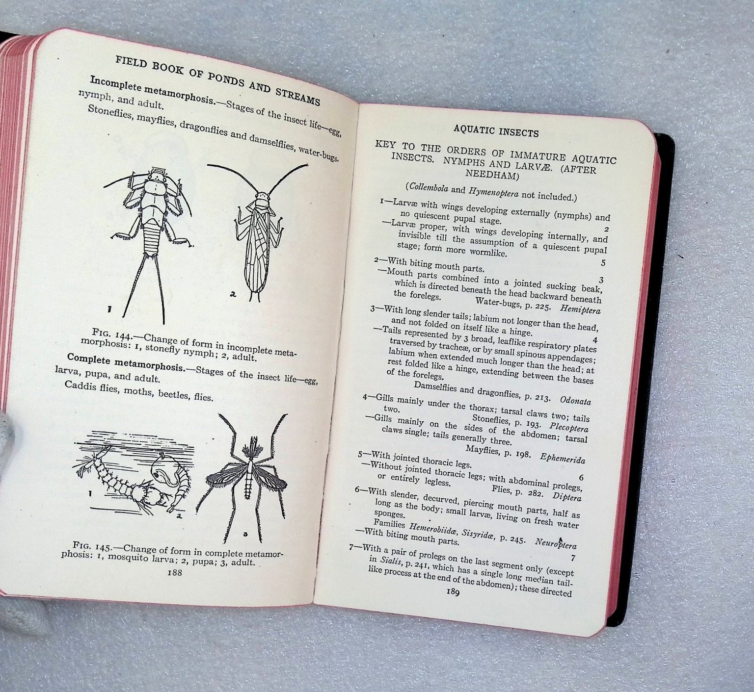 Field Book of Ponds and Streams Ann Haven Morgan 1930 First Ed Illustrated