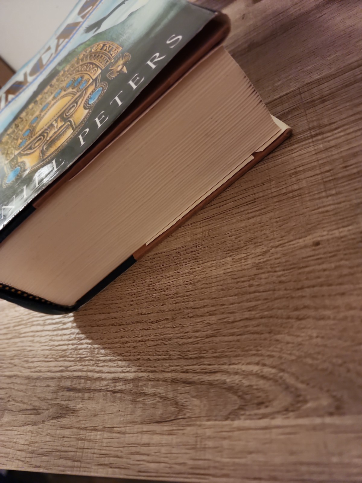 THE INCAS: A NOVEL By Daniel J. Peters – Hardcover