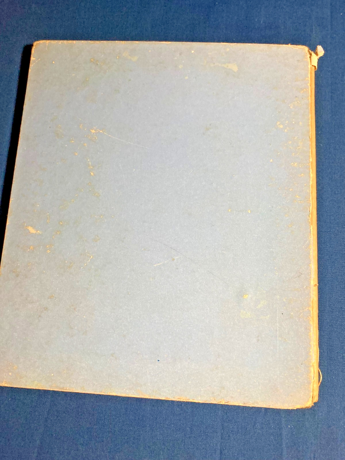Vintage Rand McNally 1946 printing of Cheeky Chipmunk by Helen and Alf Evers