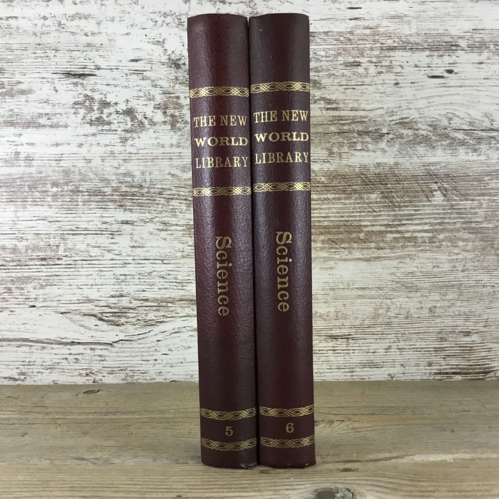 Vintage 1965 The New World Library Alcuin Press Volumes 5 & 6 Science Hardcover
