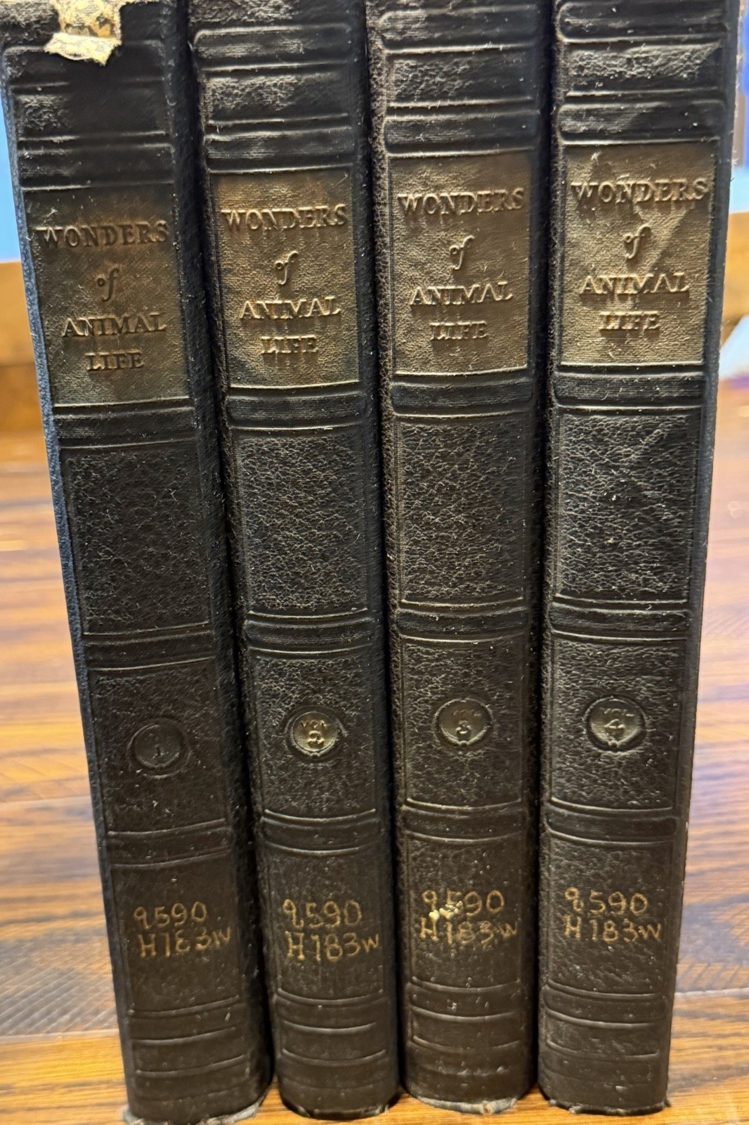 Wonders of Animal Life Volumes 1-4 J A Hammerton HC Waverley Natural History