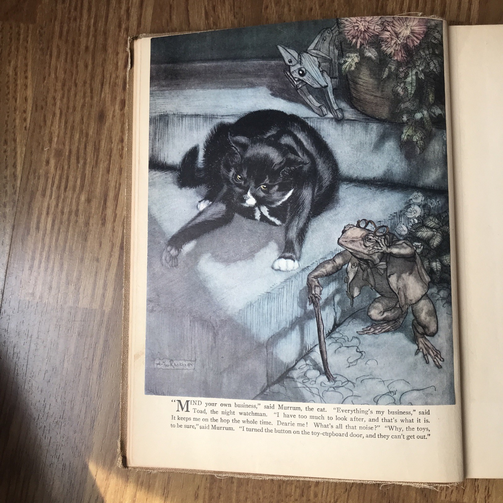 POOR CECCO Bianco, Margery Williams 1934