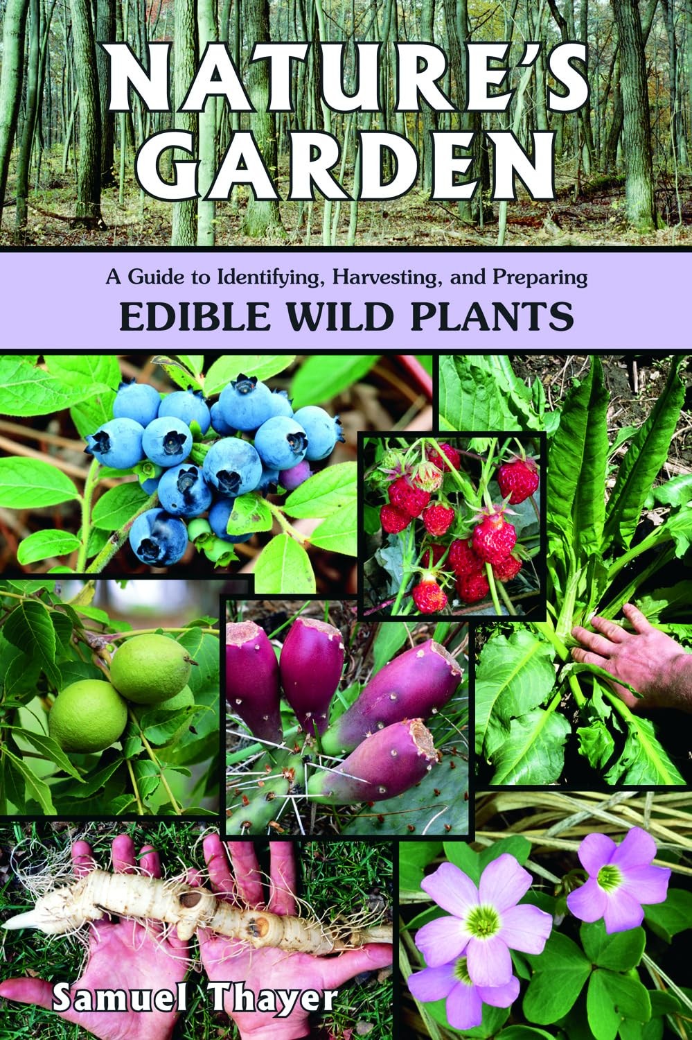 Wild Foods of North America A Detailed Guide to Foraging and Preparing Edible…