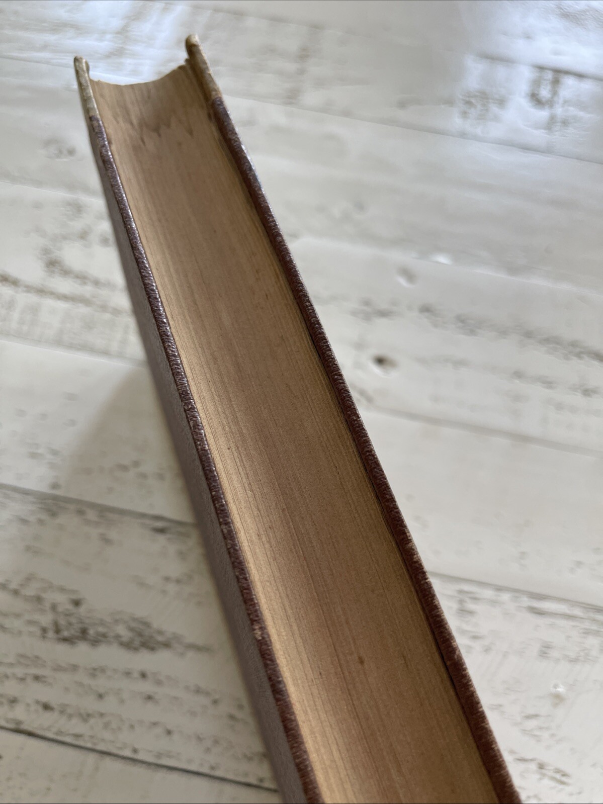 Quaestiones Philosophicae Vol. 1 by Sylvestro Mauro, 1875 Catholic Work