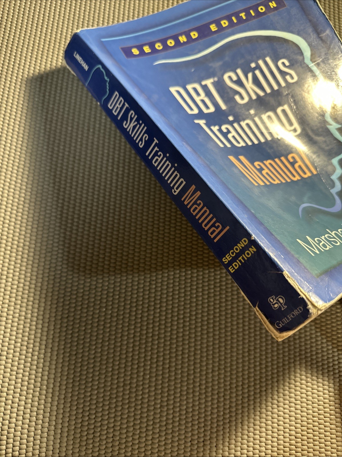 DBT Skills Training Manual, Second Edition *read