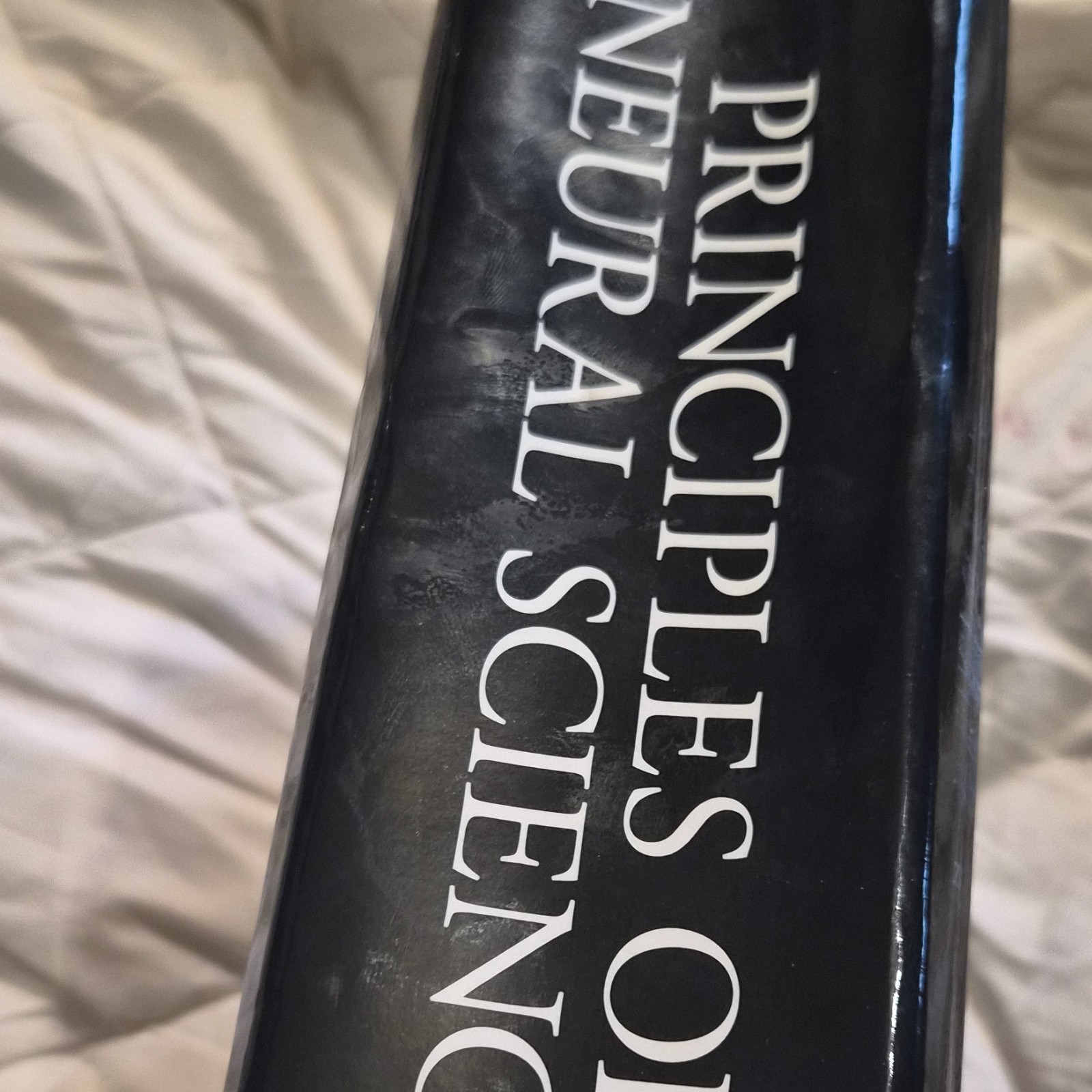 Principles of Neural Science 5th Ed HC 2000 McGraw-Hill Kandel et al 1414p