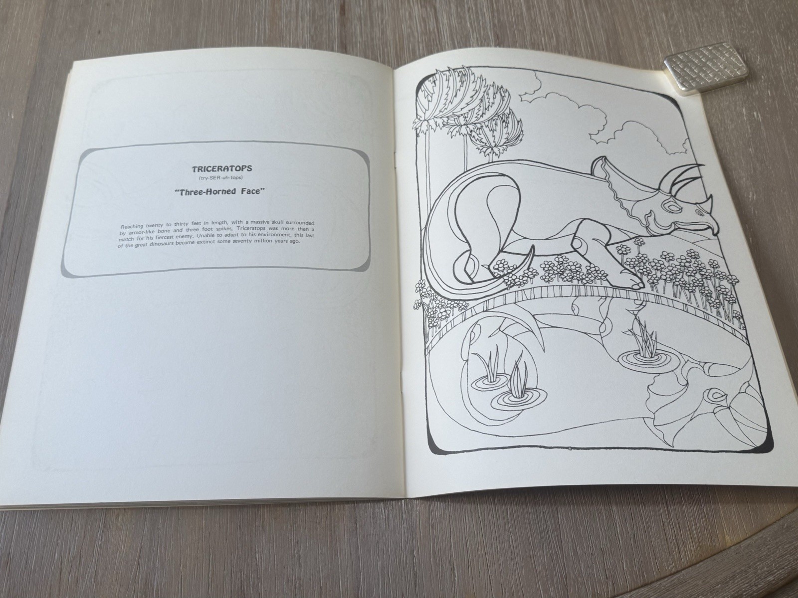 Dinosaur Coloring Book Troubador Press 1970 Retro Unused Oversized
