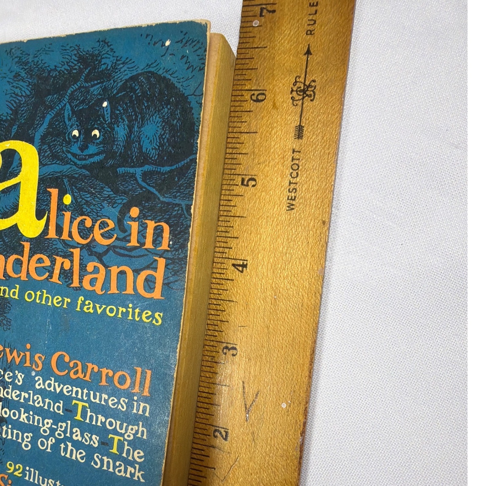 Washington Square Press Alice in Wonderland Lewis Carroll Book Vintage 1962 Blue