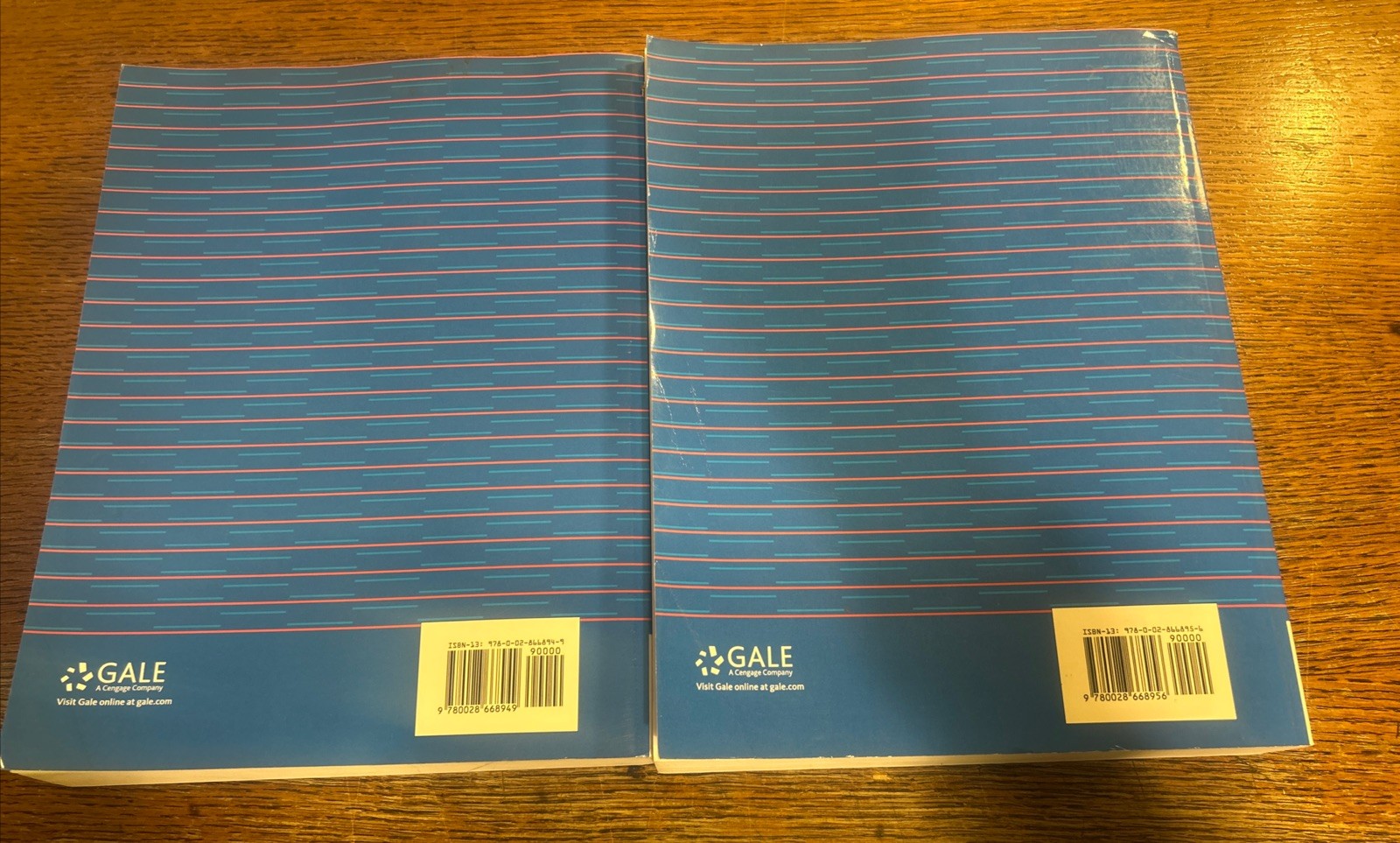 Encyclopedia of Business Information Sources 39th Ed. SET A-Z Paperback Book