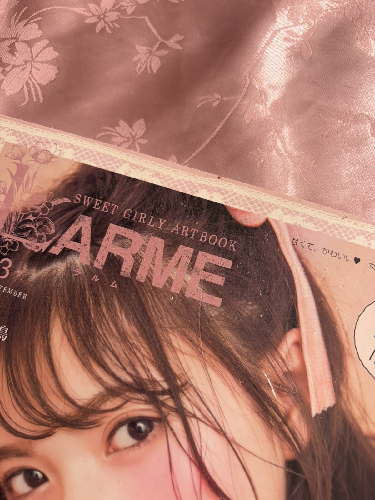 LARME Magazine Lot 9 Issues Japan Fashion Beauty Book