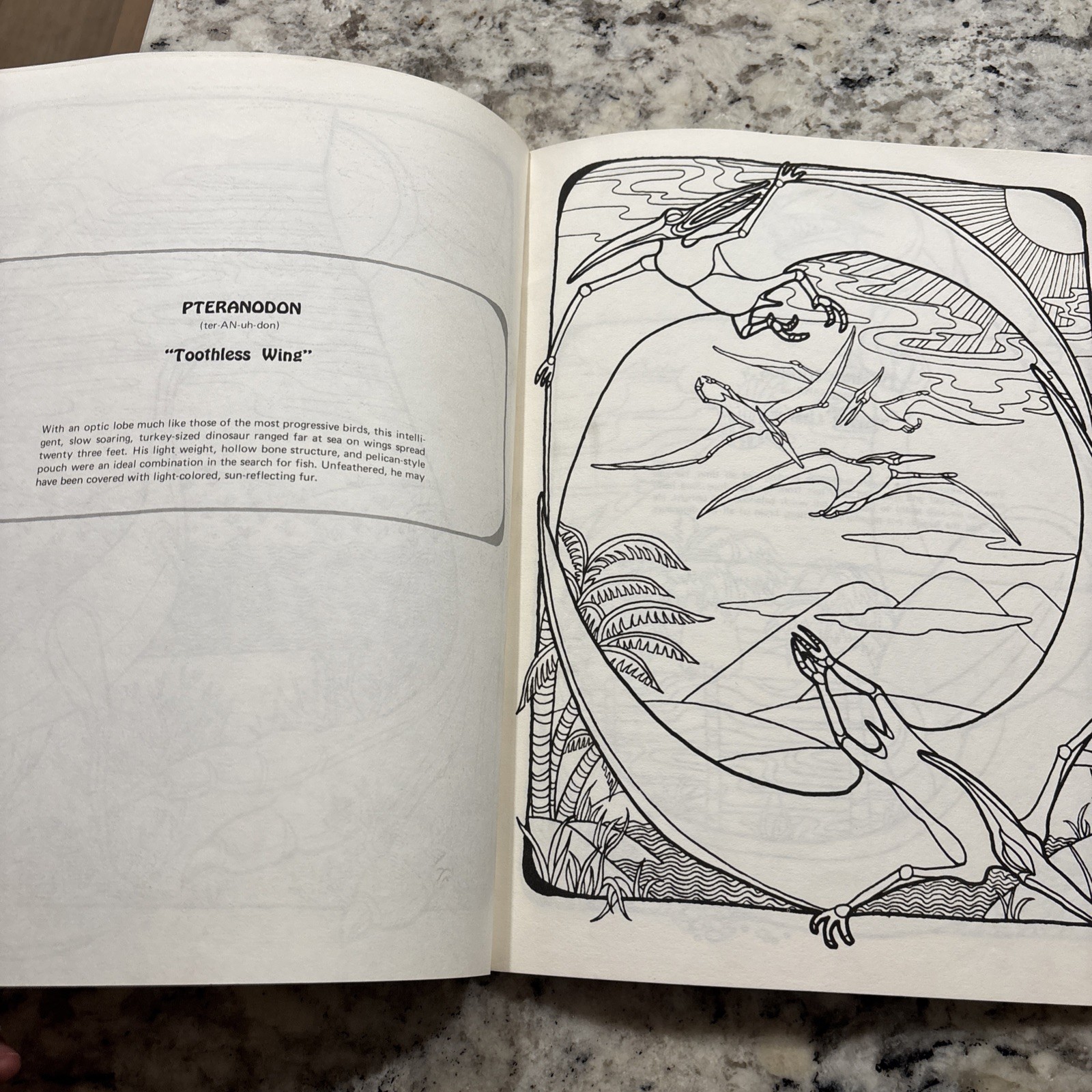 Dinosaur Coloring Book Troubador Press 1970 Retro Unused Oversized