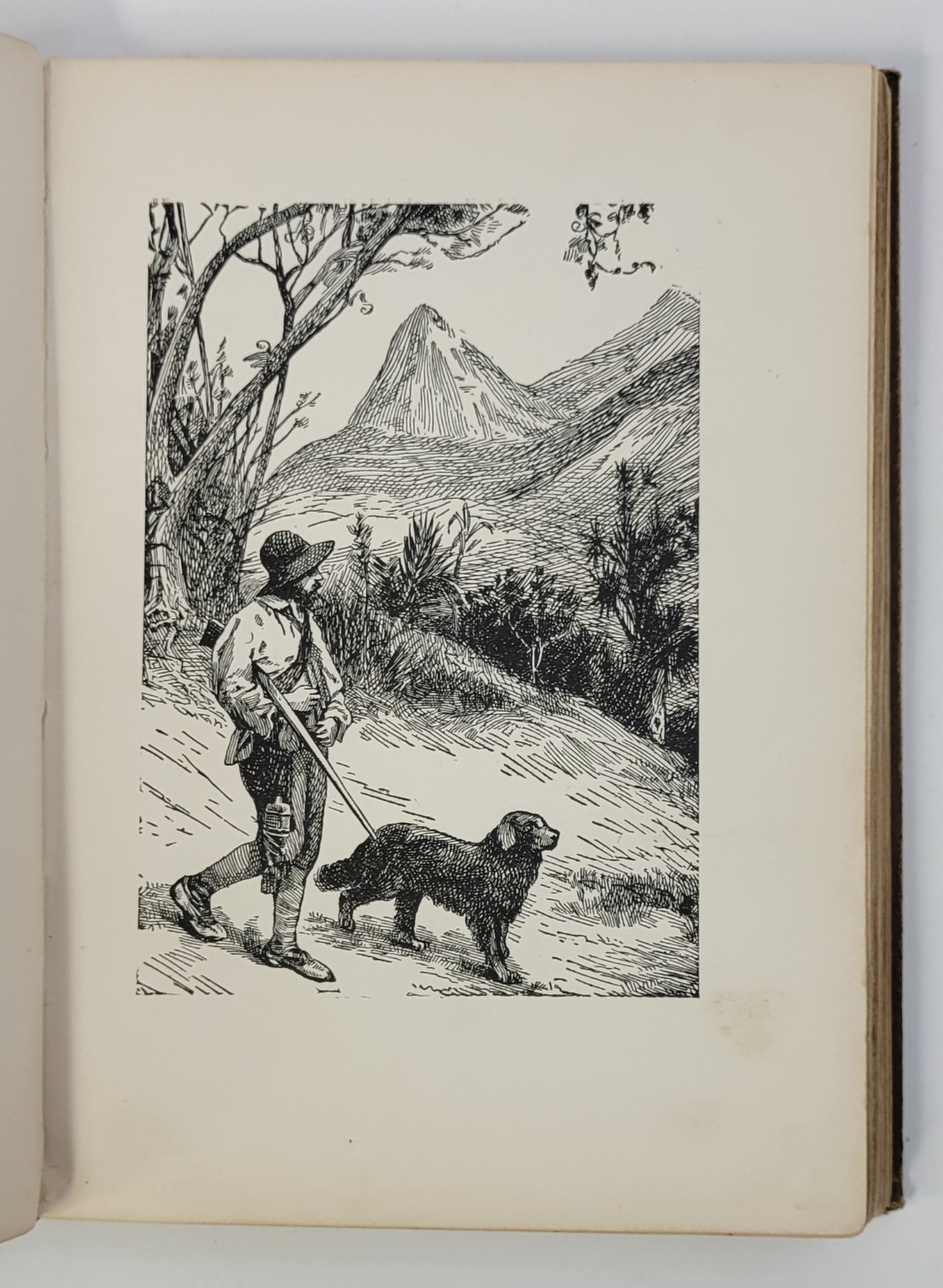 1890’s ROBINSON CRUSOE by Daniel Defoe, B&W Illustrations HC