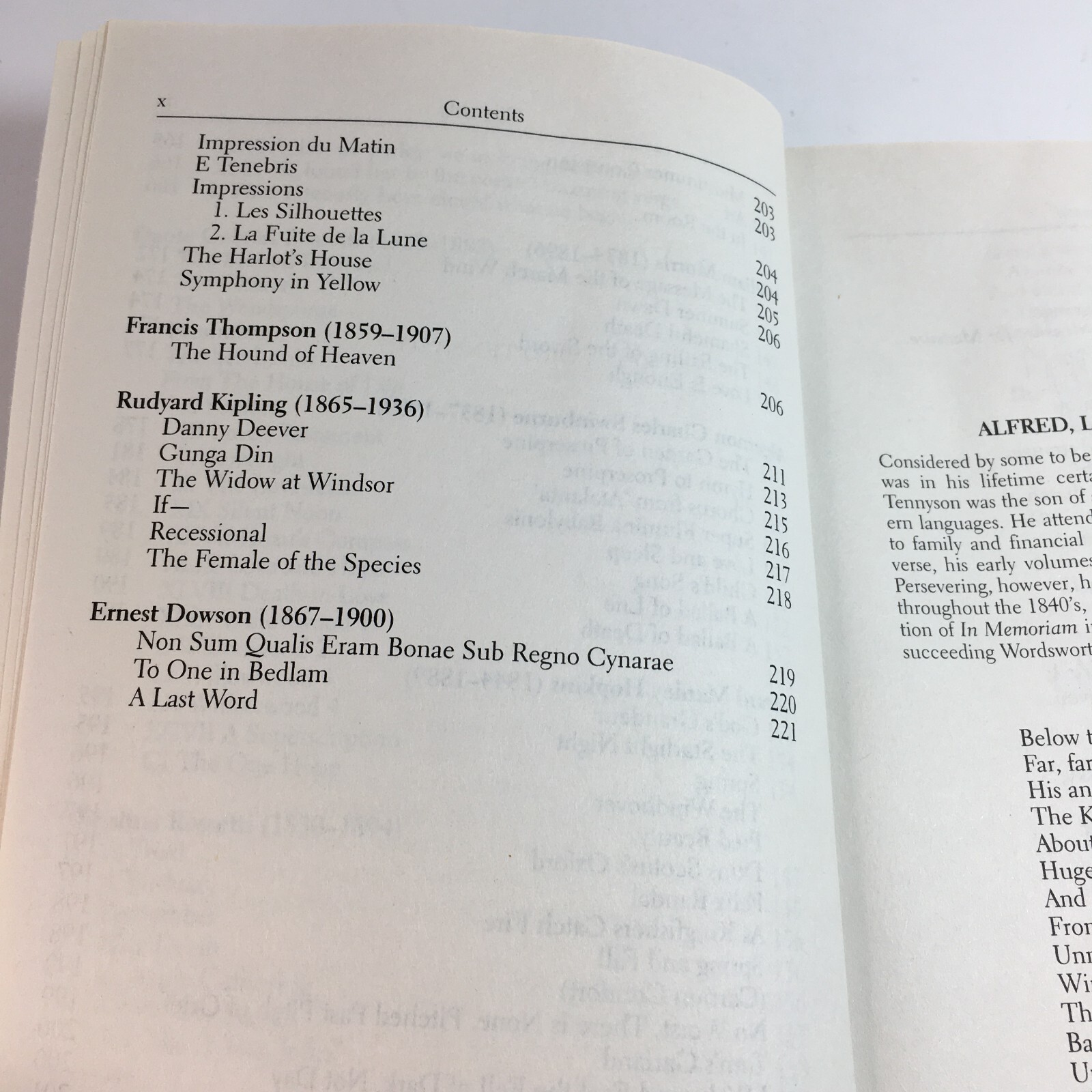 English Victorian Poetry by Paul Negri