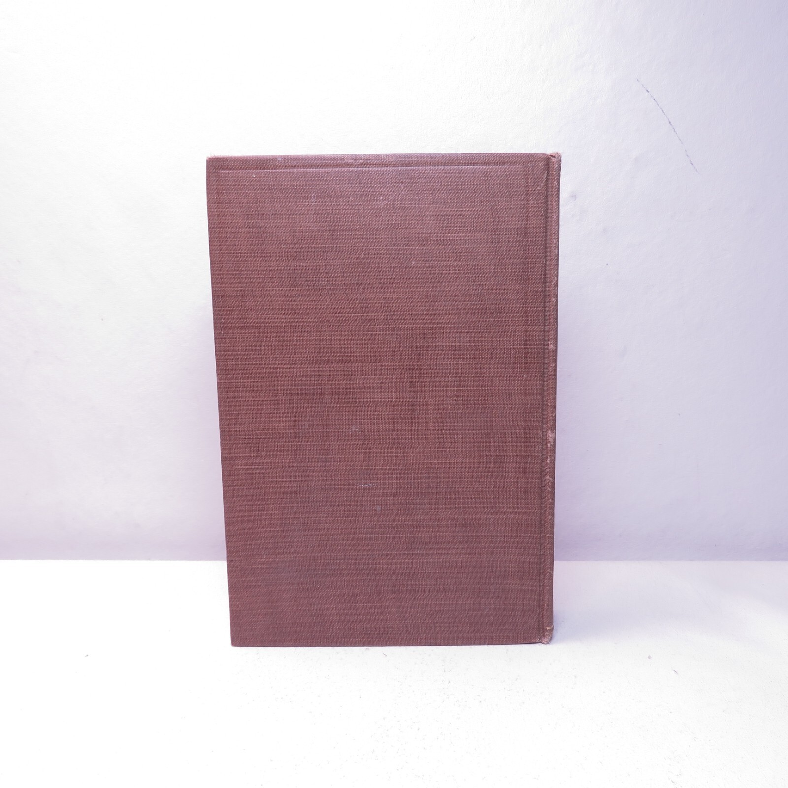 1902 COMPLETE WORKS OF EDGAR ALLAN POE VOLUME VIII Only