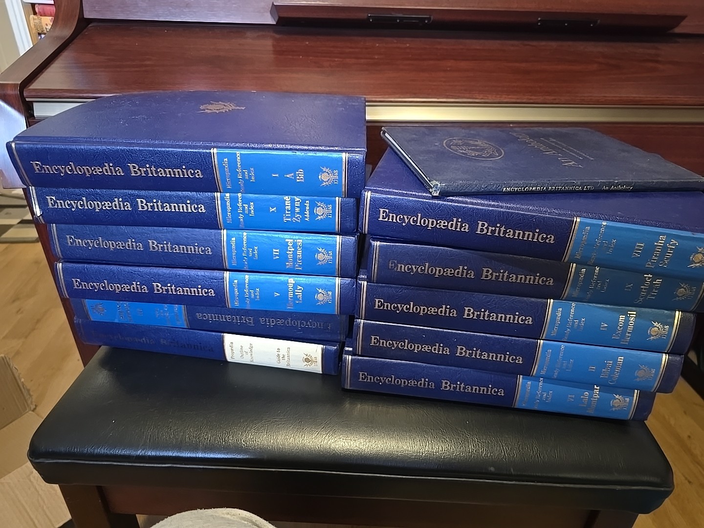 The New Encyclopaedia Britannica Macropaedia 15th edition 1976 1 Missing