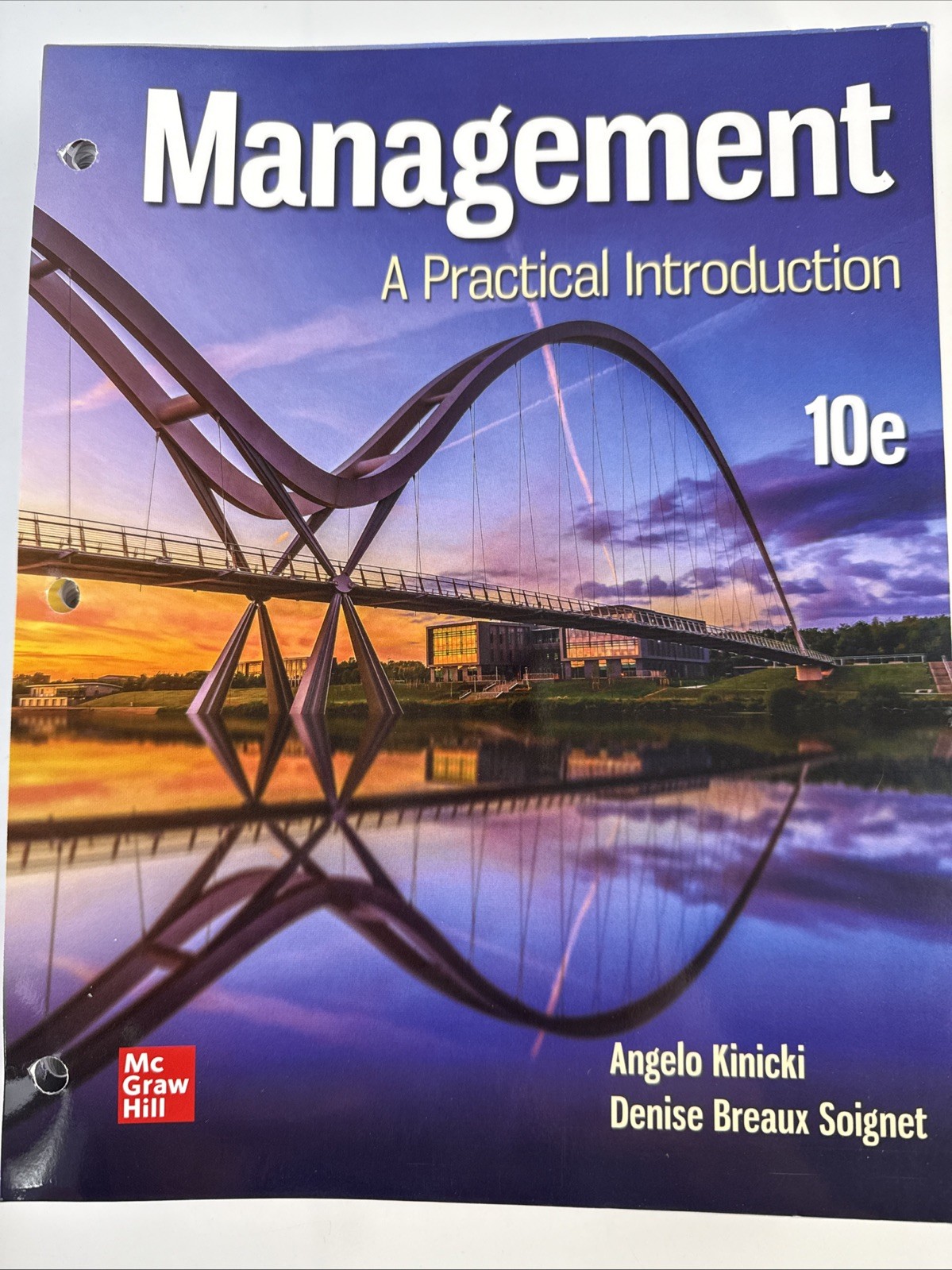 Loose Leaf for Management: A Practical Introduction – Loose Leaf