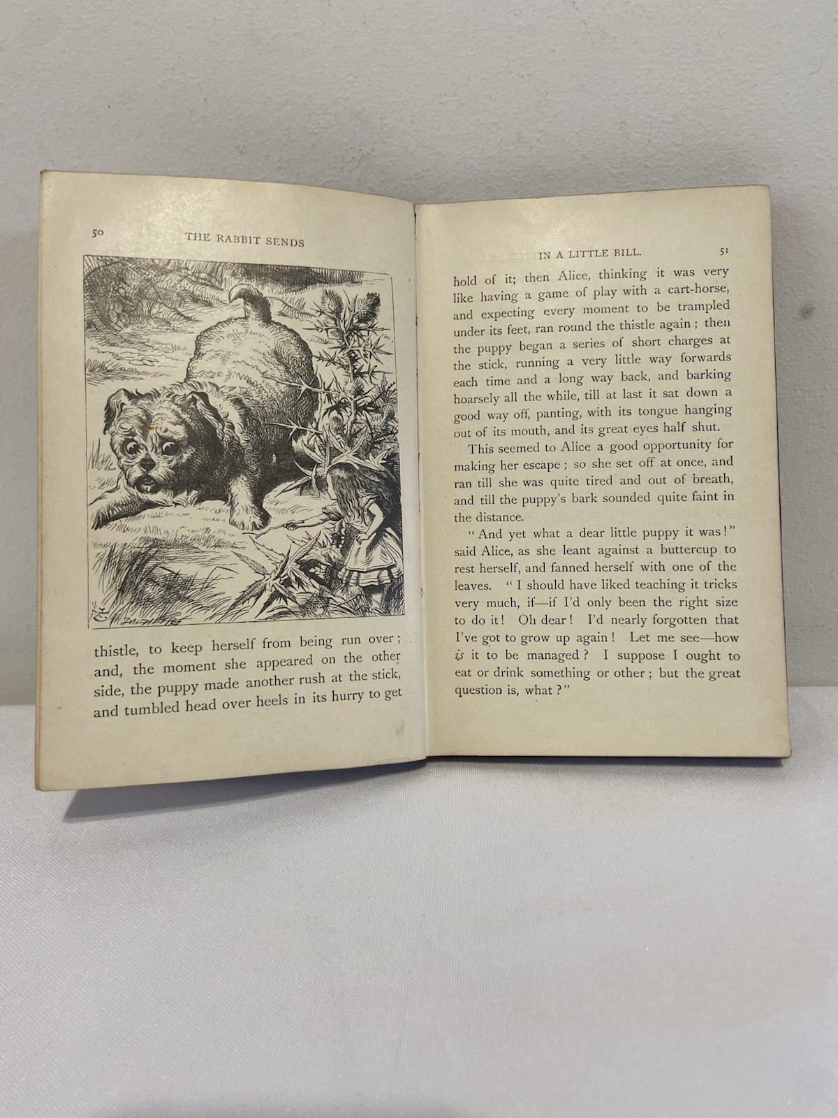 Alice’s Adventures in Wonderland 1910 Lewis Carroll John Tenniel Macmillan Gilt