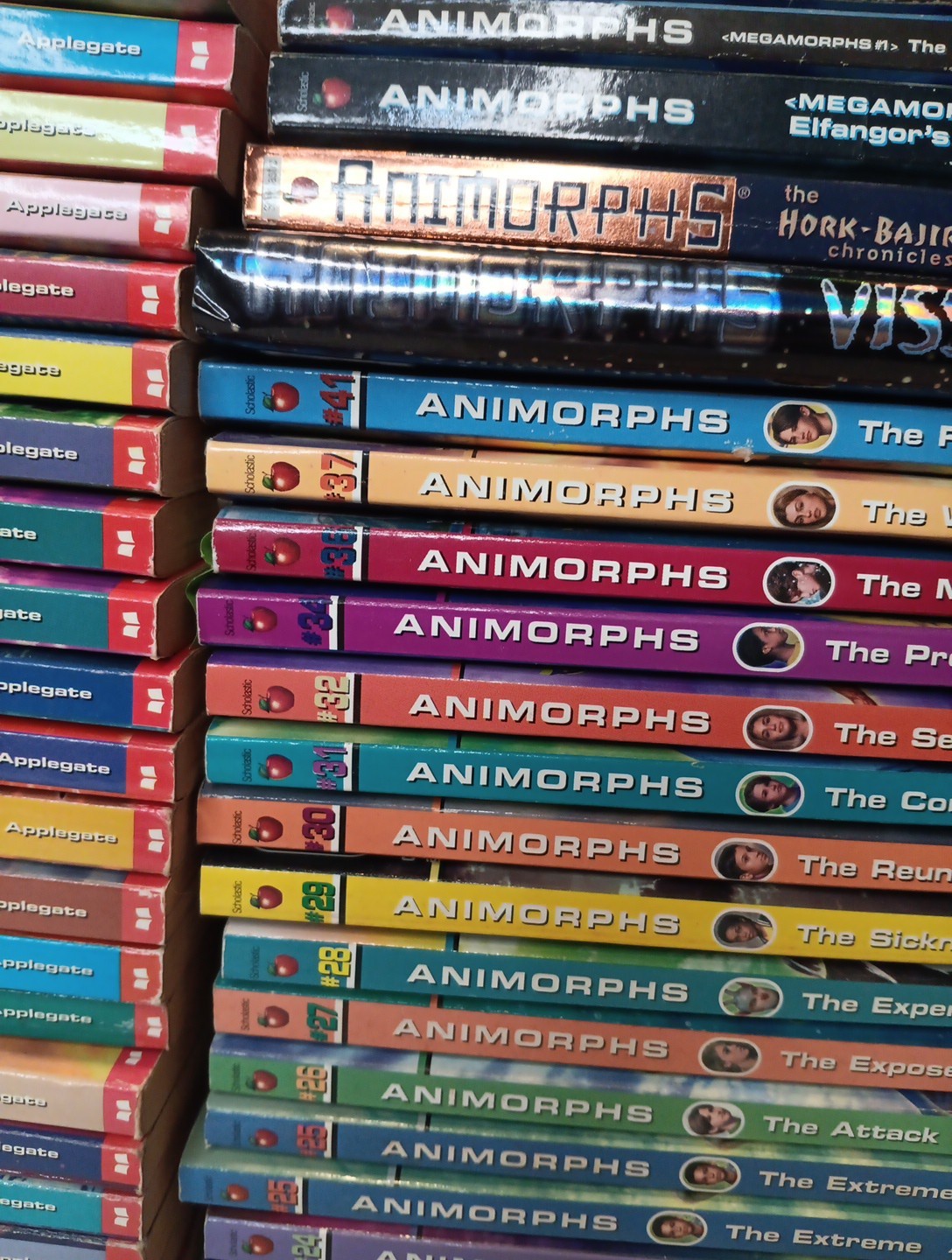 Animorphs Megamorphs Book lot K A Applegate paperback 45 Books 1-32 34 36 37 41