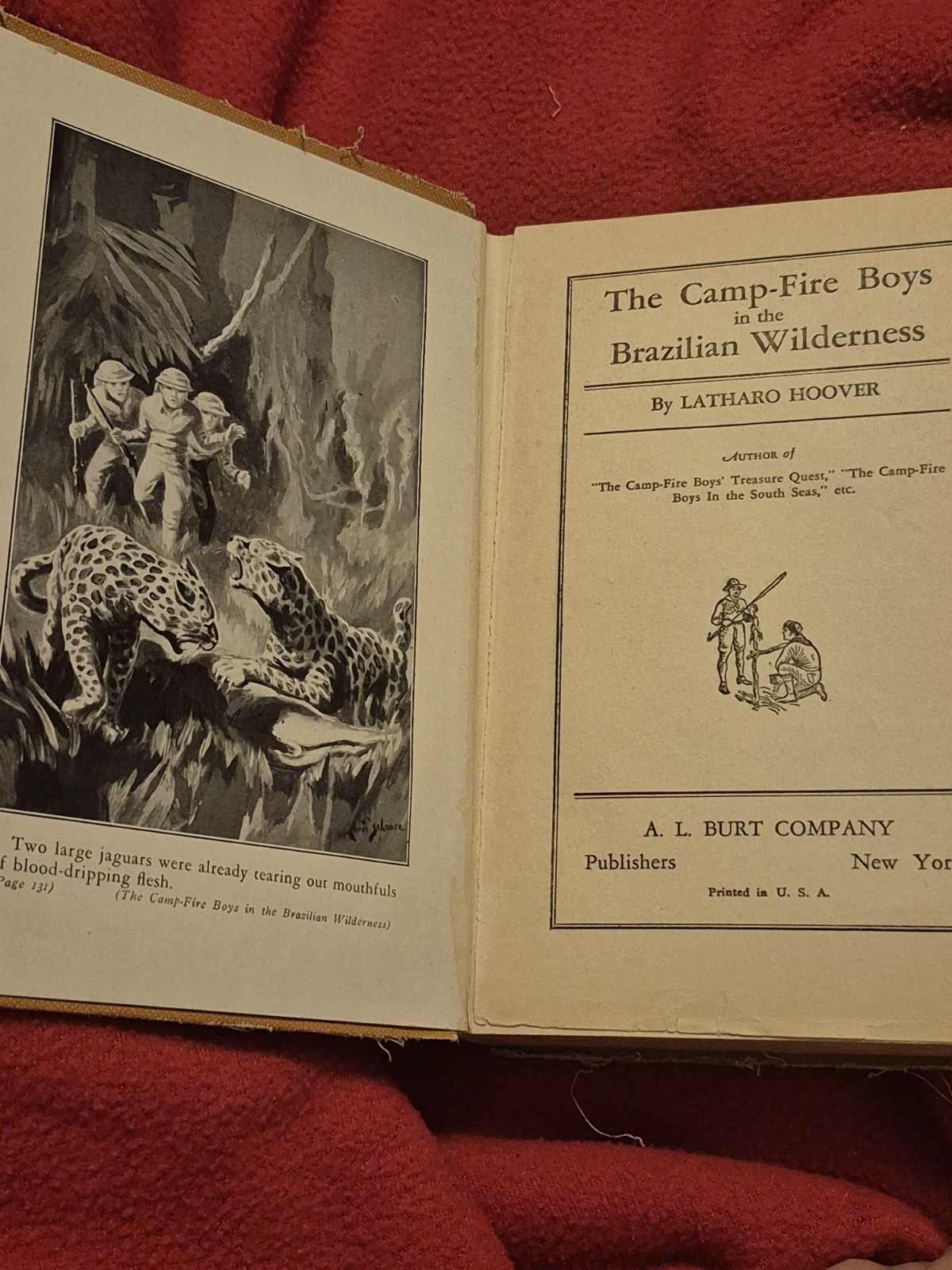 A. L. Burt Company The Camp-Fire Boys in the Brazilian Wilderness HC 1929 Illus