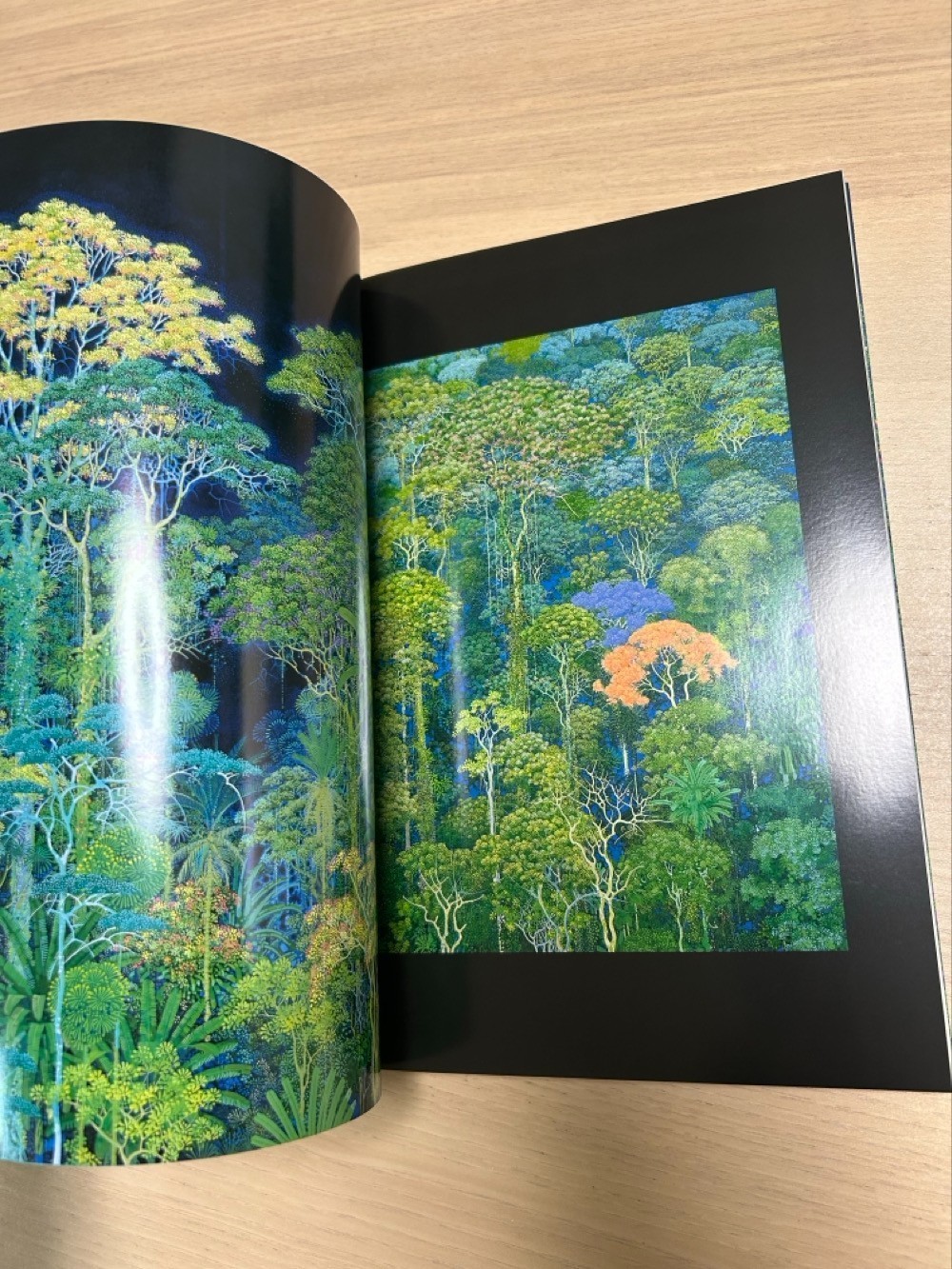 Hiroo Isono Emerald Forest + Emerald Dream Art Books Set Secret of Mana Artist