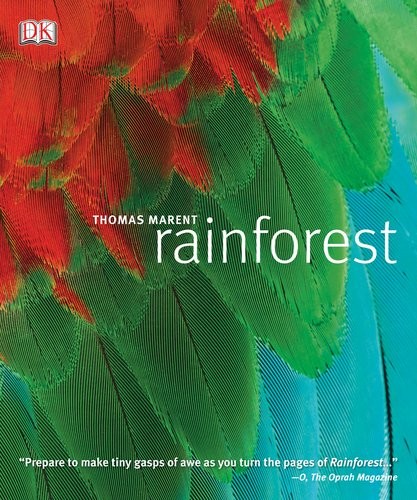 Rainforest