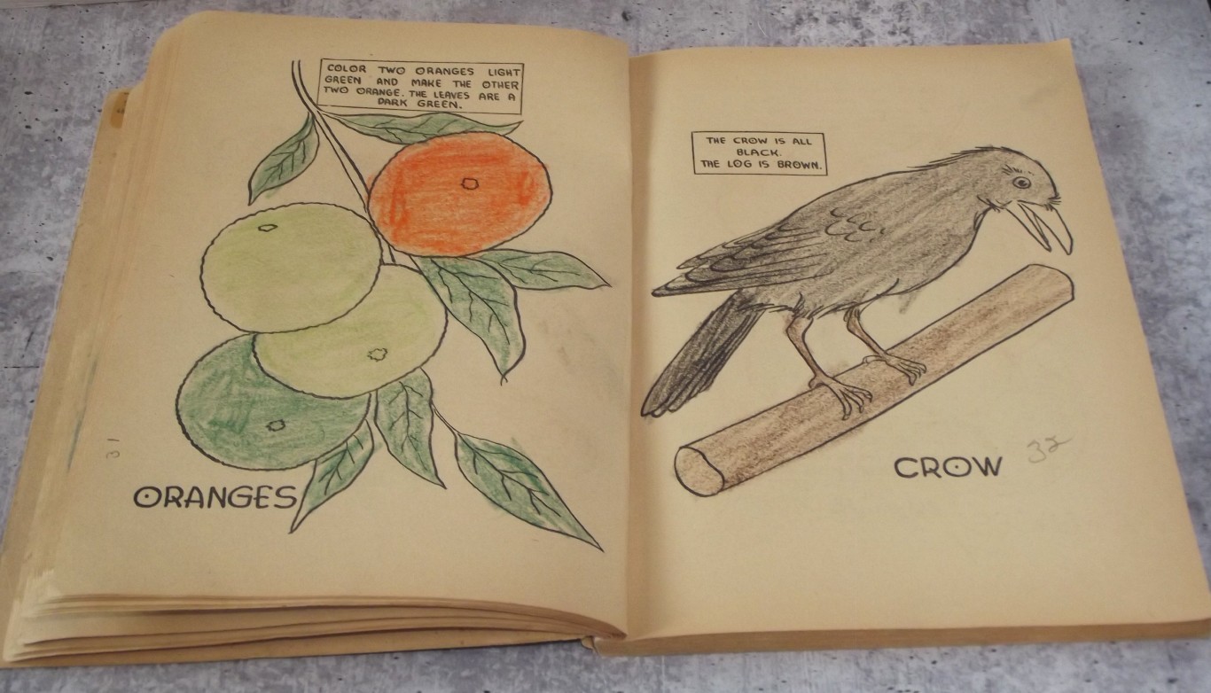 1936 Birds, Flowers and Animals Coloring Book, Used Coloring Book 144 PAGES EB29