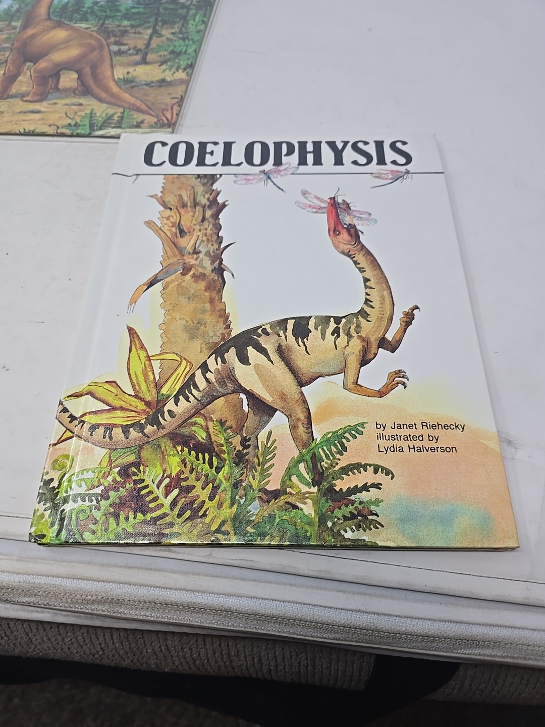 1990s Lot of 4 Dinosaur Hardcover Books By Janet Riehecky The Child’s World EUC