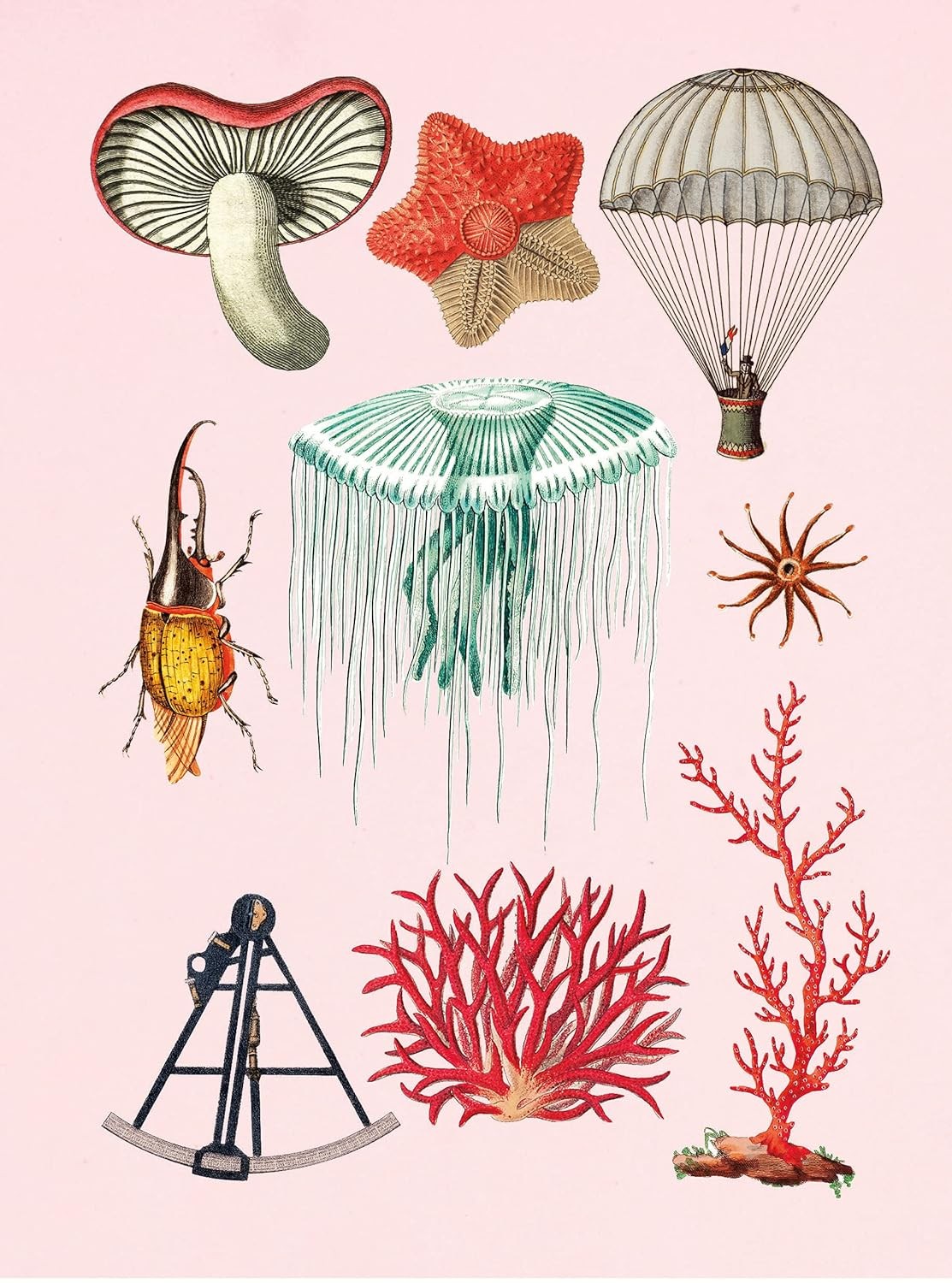 The Antiquarian Sticker Book: Over 1,000 Exquisite Victorian Stickers