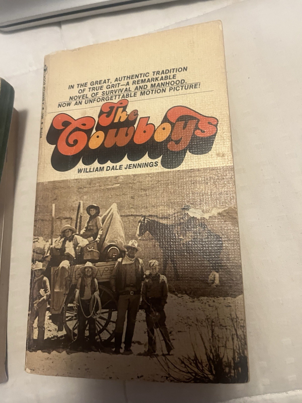 Lot Of 10 Vintage Western Paperback Books (See Photos For Titles) S30