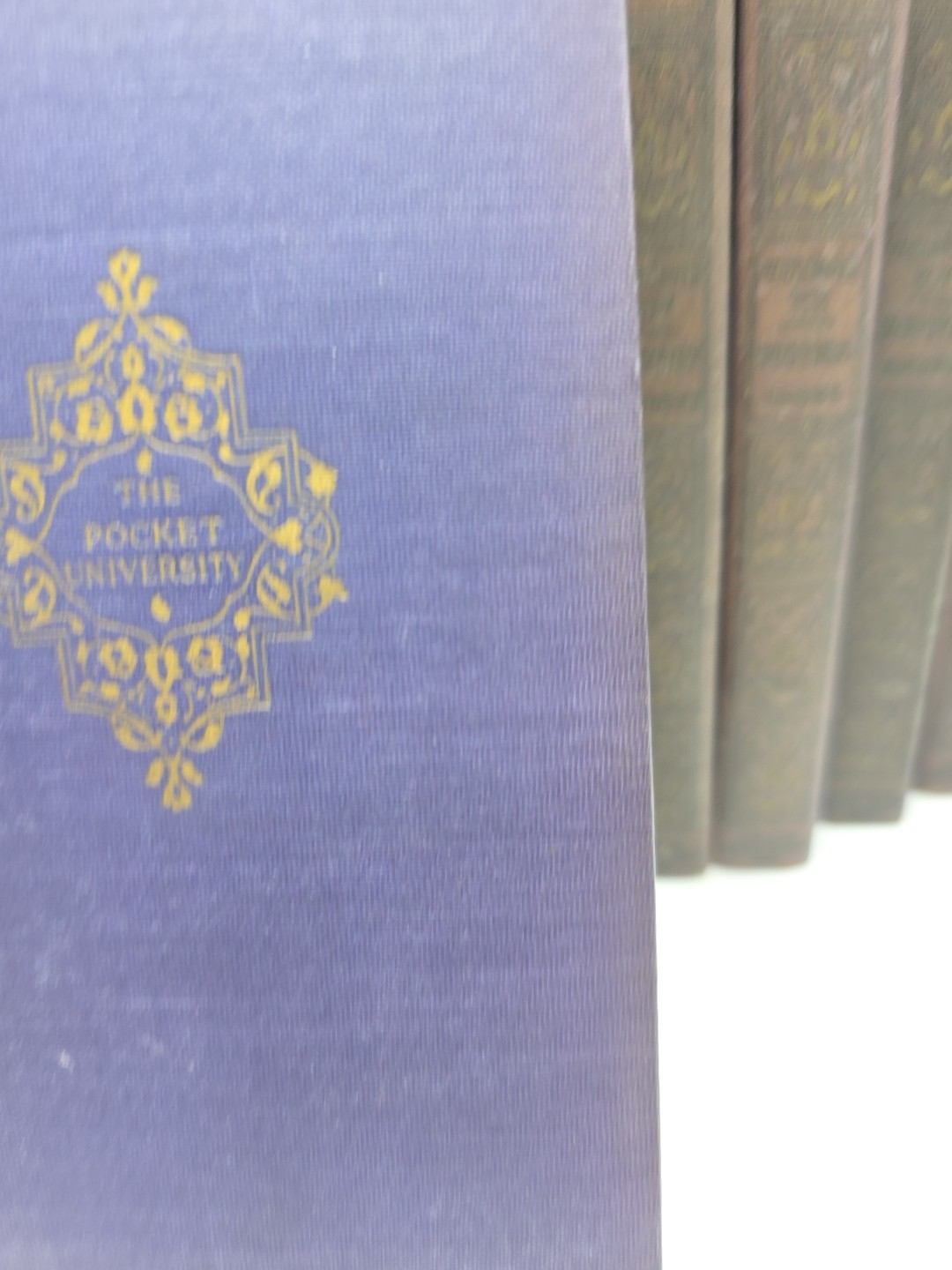 1924 Books The Pocket University Doubleday 17 Volumes
