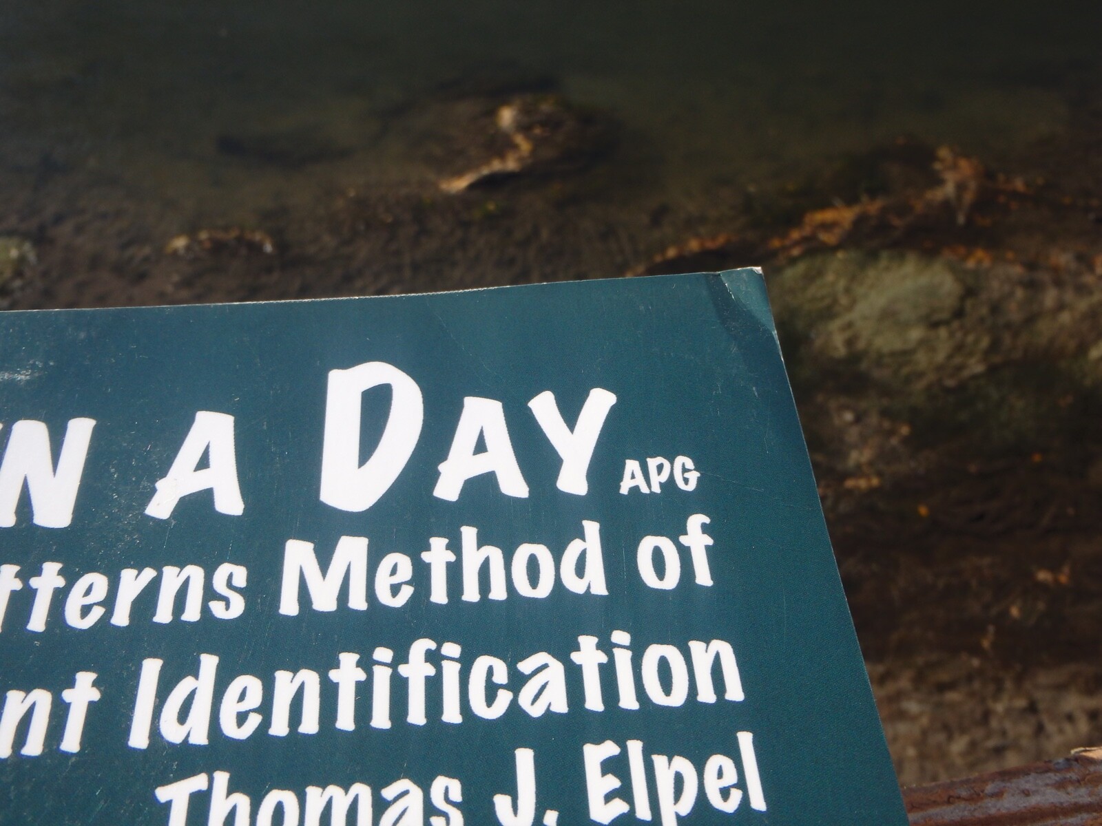Botany in a Day: The Patterns Method of Plant Identification, 6.2, Publisher