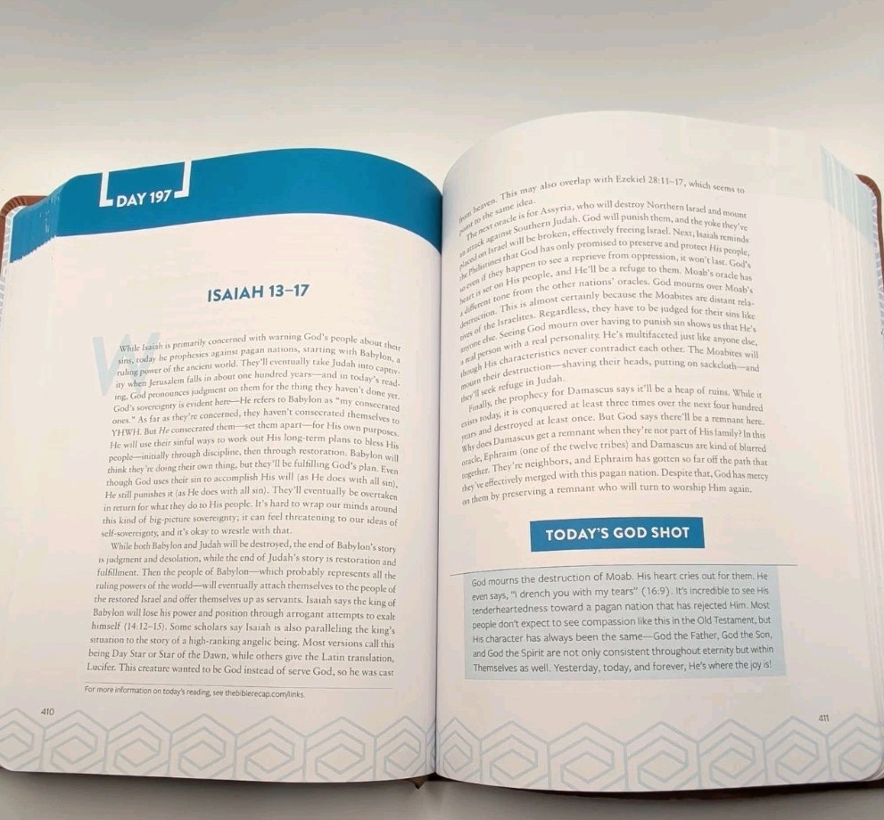 Tara-Leigh Cobble -The Bible Recap: A One-Year Guide To Read Understanding Study