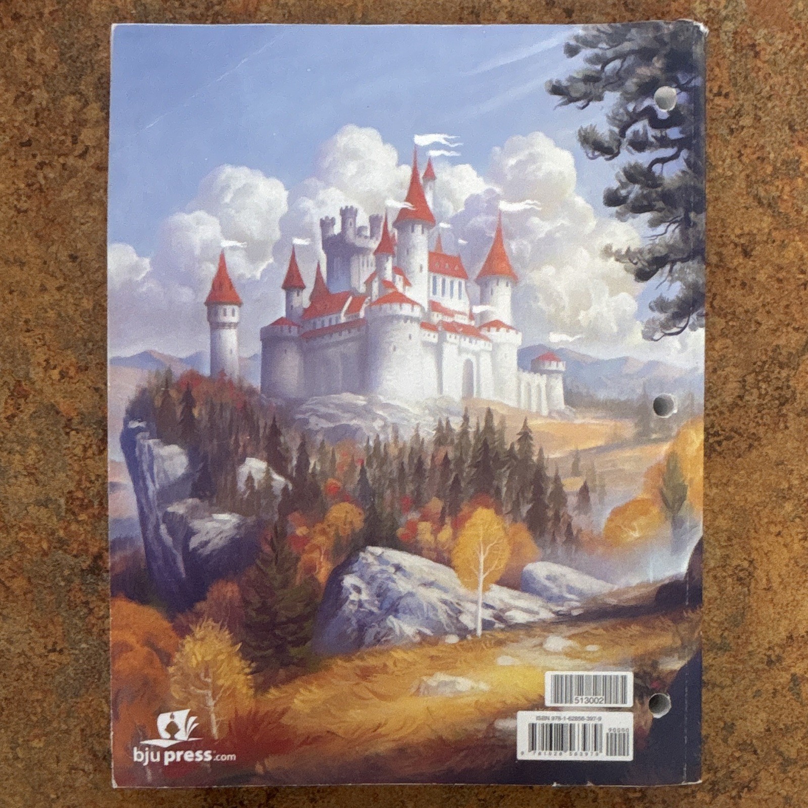 BJU Press Reading 5 Quests Activities Workbook 3rd Edition Paperback Elementary