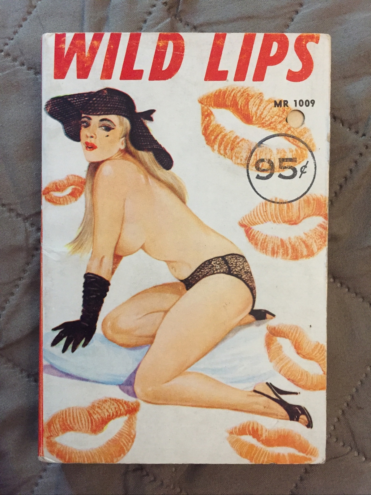 Sleaze Vintage Pb gga, Wild Lips by No Author, Moonglow Reader MR1009, 1963, VG