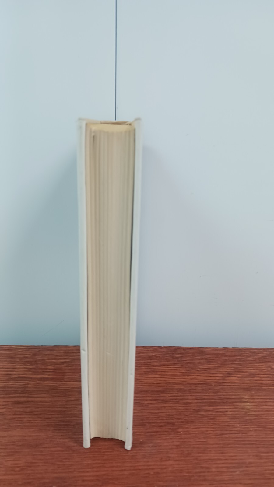 The Fixer by Bernard Malamud 1966 Hardcover First edition Farrar Straus Giroux