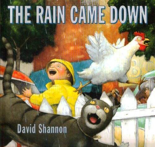 The Rain Came Down – Paperback By David Shannon – GOOD