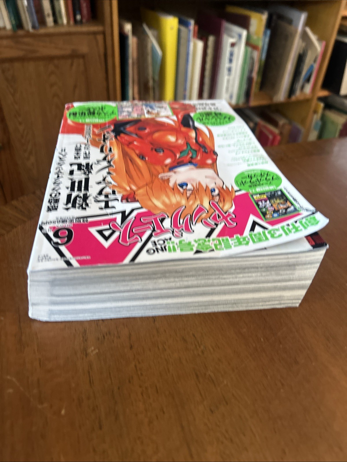 Young Ace[2013 June] Japanese Edition VG MANGA