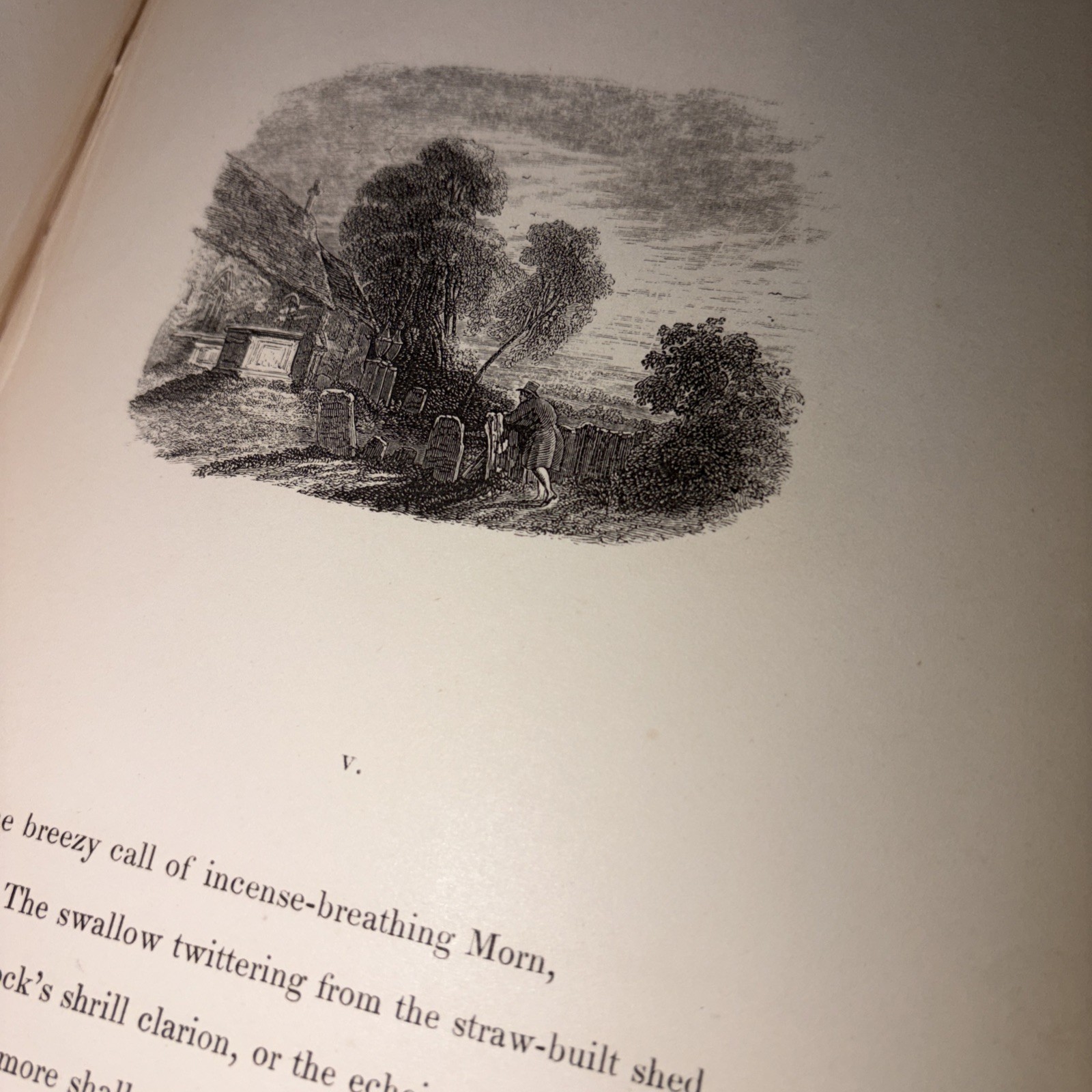Elegy Written in a Country Church-Yard. Thomas Gray. (1834) 33 Engravings. Rare!