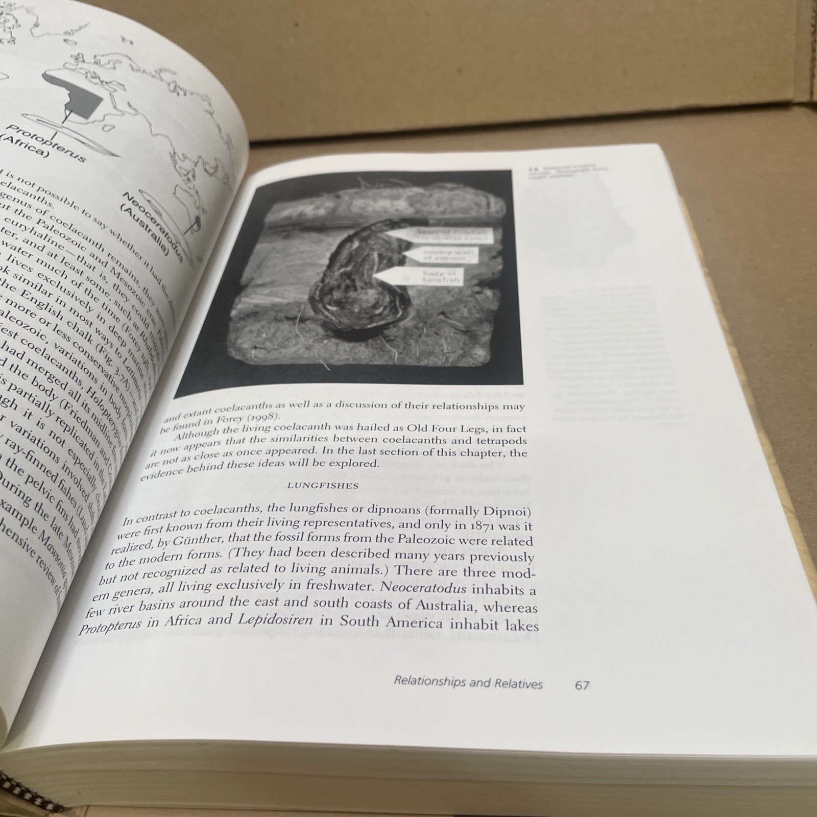 Gaining Ground: The Origin and Evolution of Tetrapods by Clack