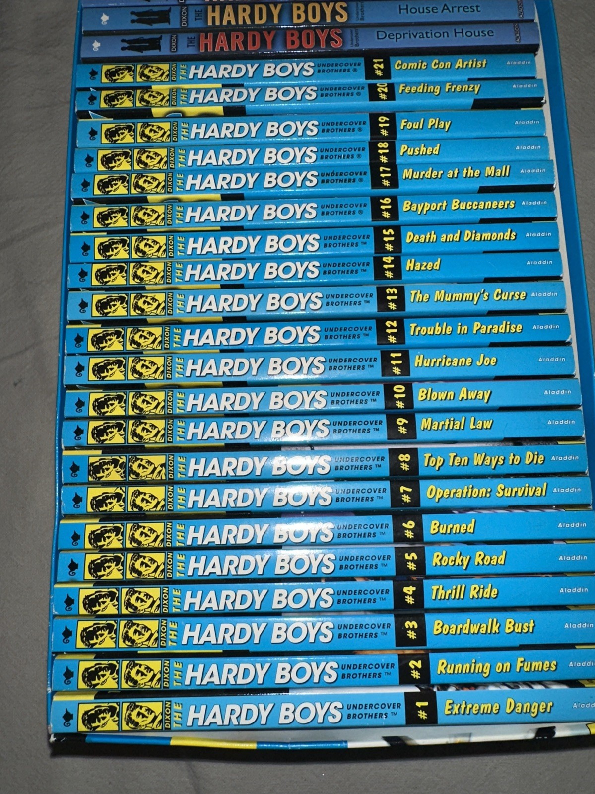 The Ultimate Sleuth 24 Book Collection The Hardy Boys Undercover Brothers