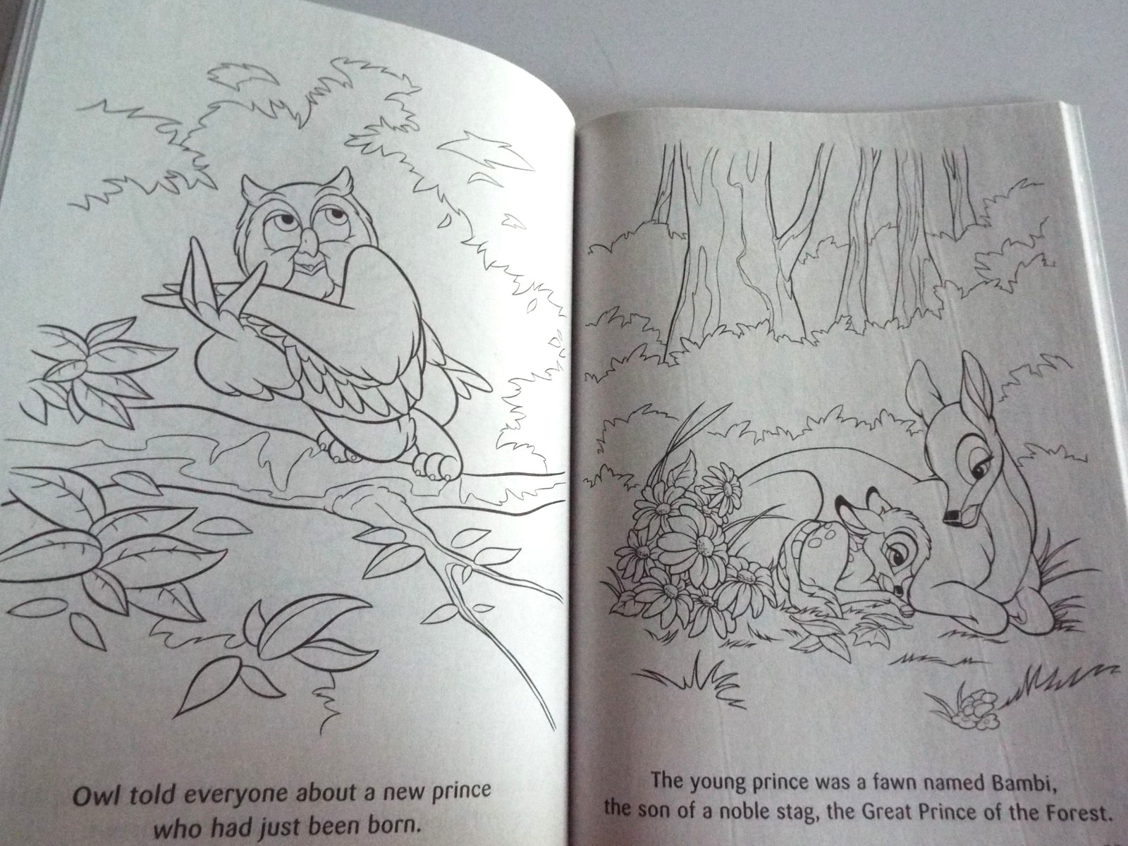 2: Disney Animal Friends Jumbo Coloring &Activity Book & Dreamtivity Stay Wild